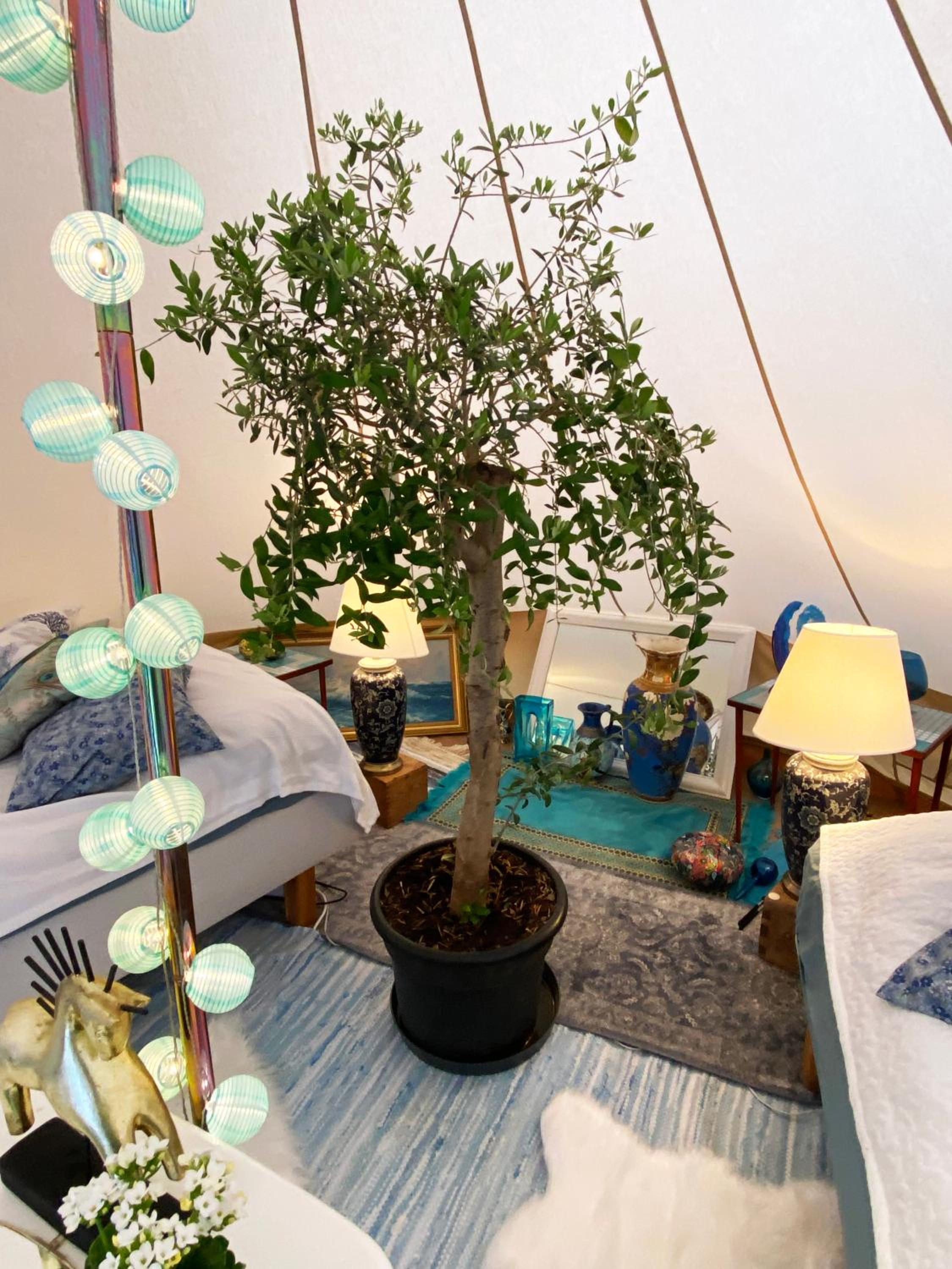 Sörby Glamping