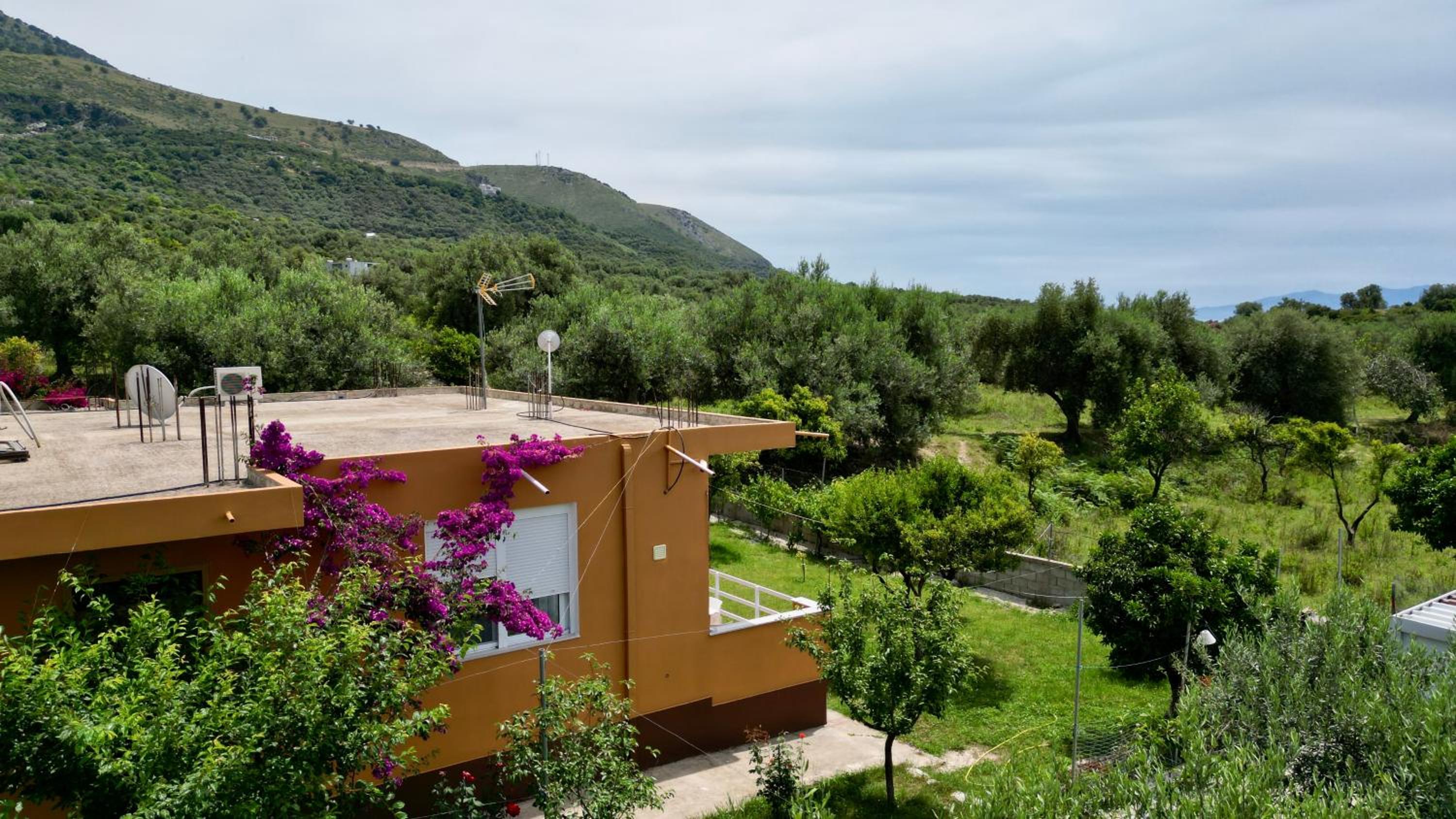 Borsh Private House photo 3