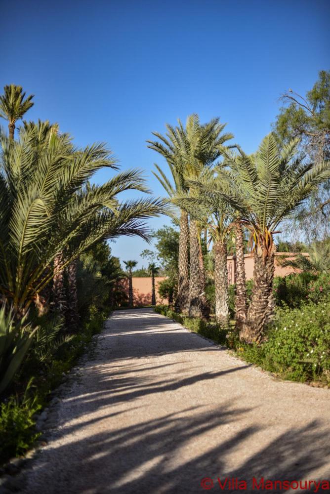 Villa Prestige Mansourya view 5