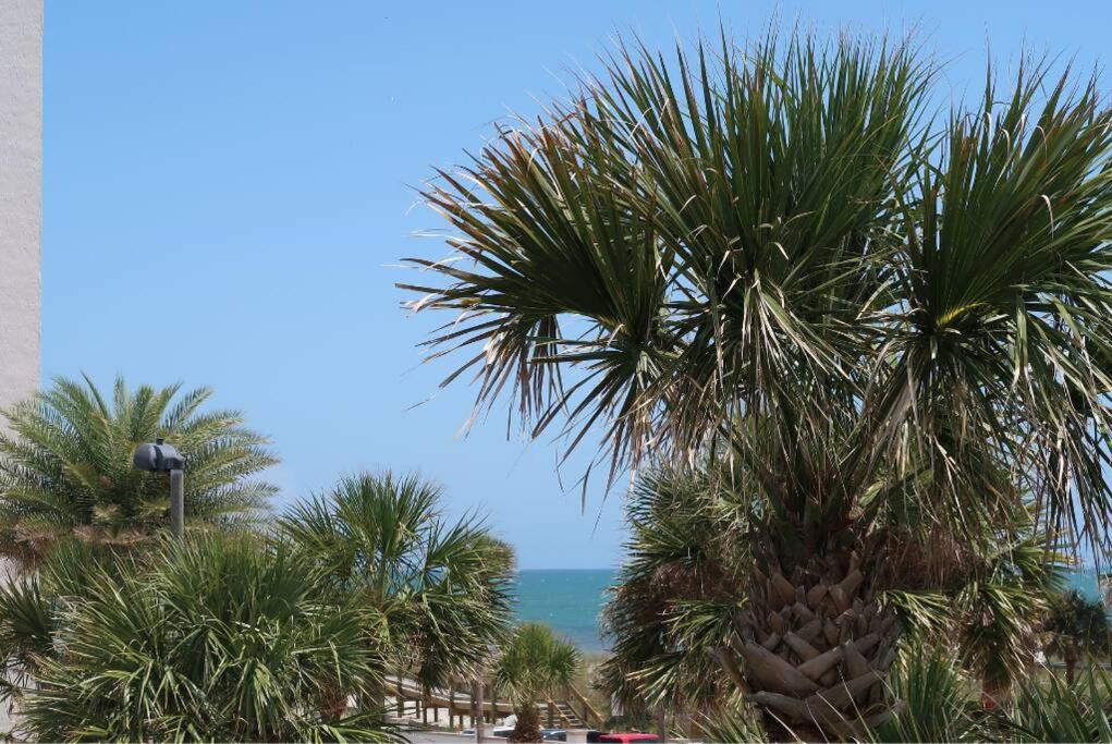 Beach Paradise - 2BD Luxury Kings at Jax Beach - Property Image 13