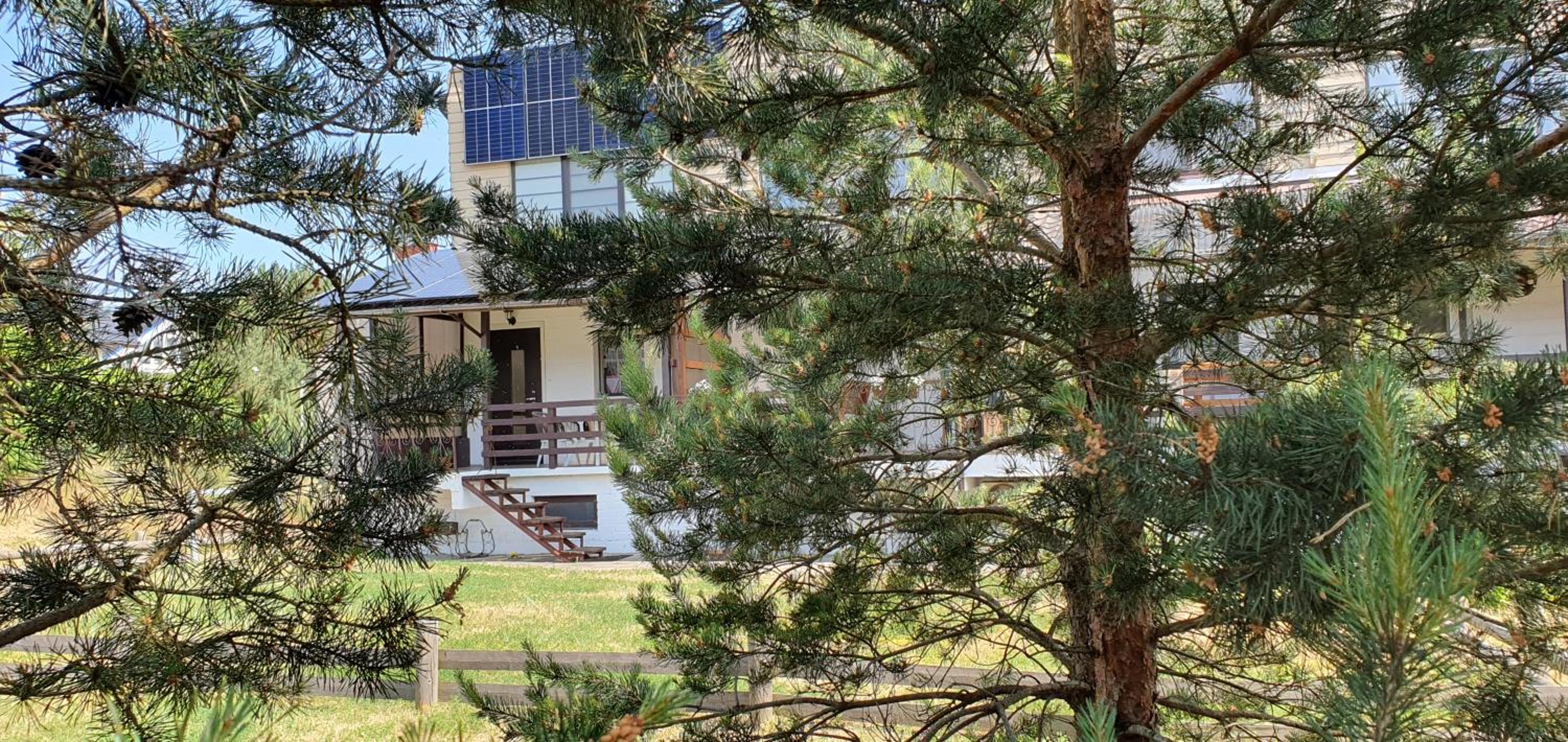 Apartamentas Kurėnas