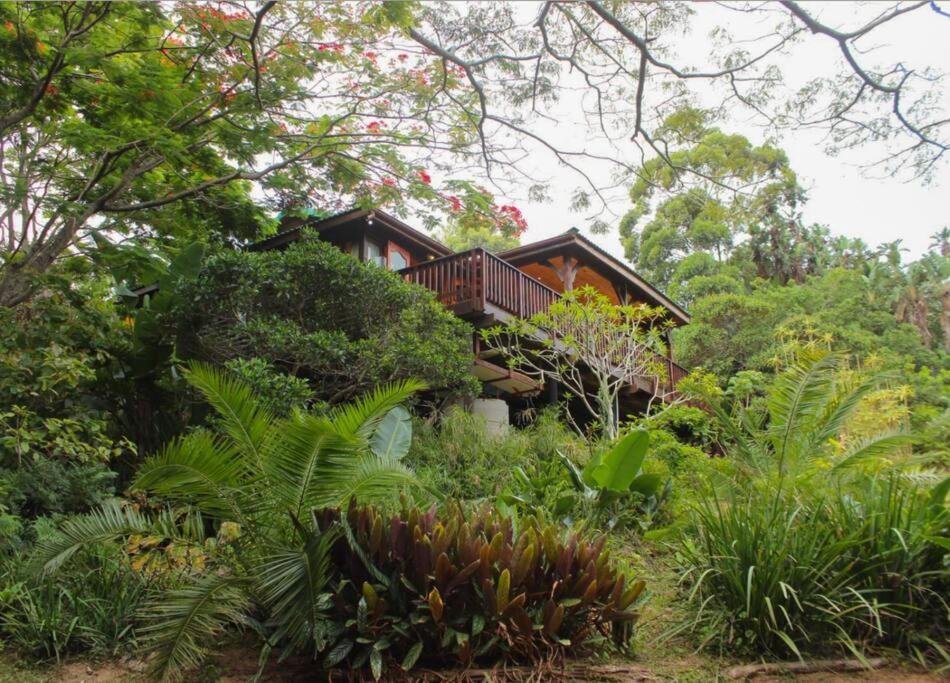 The beach tree house, Southbroom
