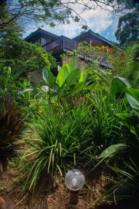 The beach tree house, Southbroom