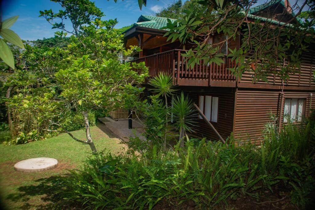 The beach tree house, Southbroom