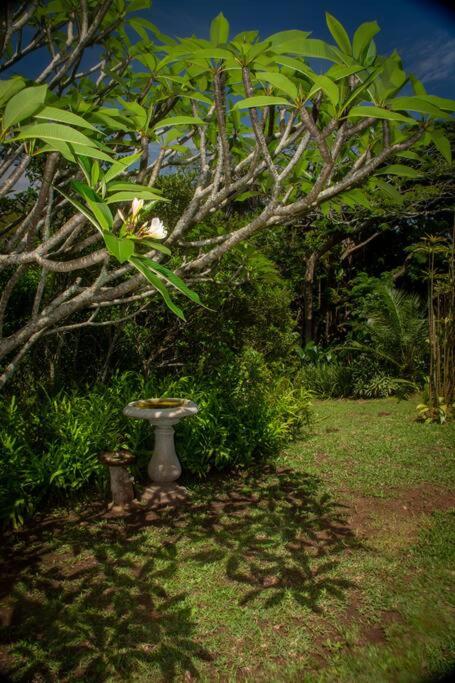 The beach tree house, Southbroom
