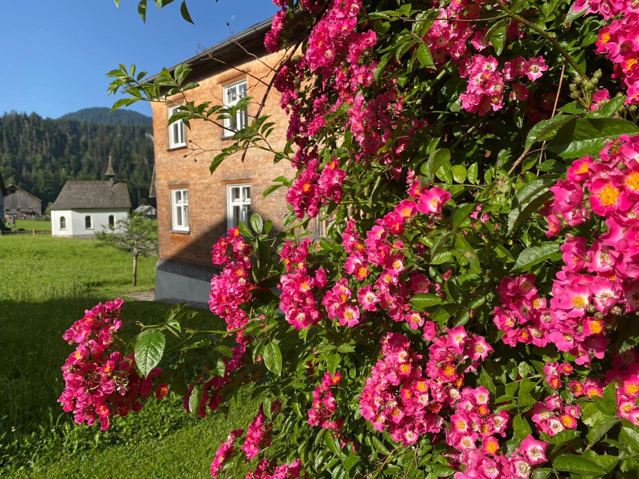 Bregenzerwälderhaus Ambros