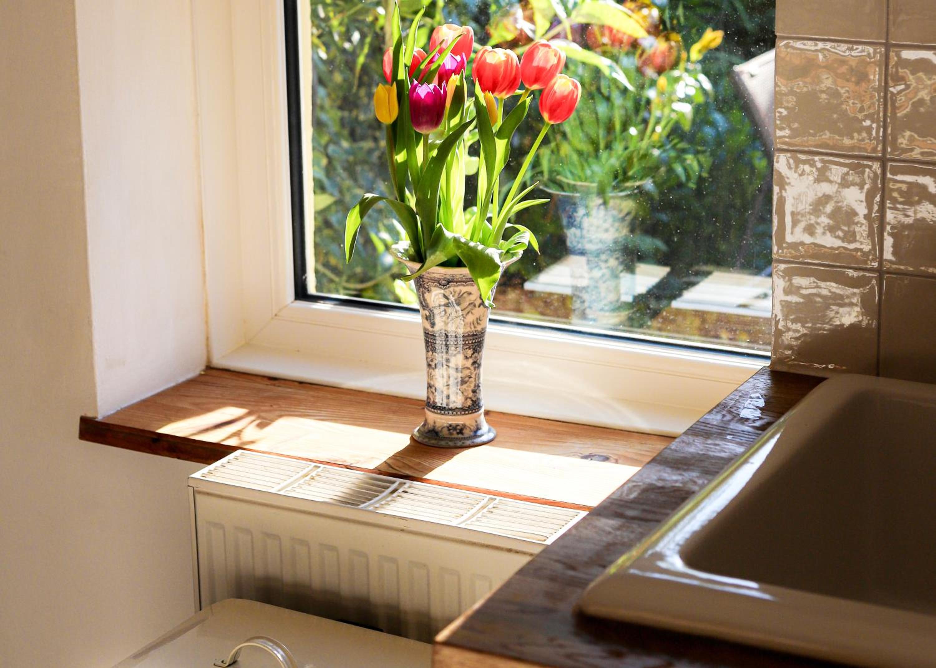 Cosy Cottage Fishguard view 5