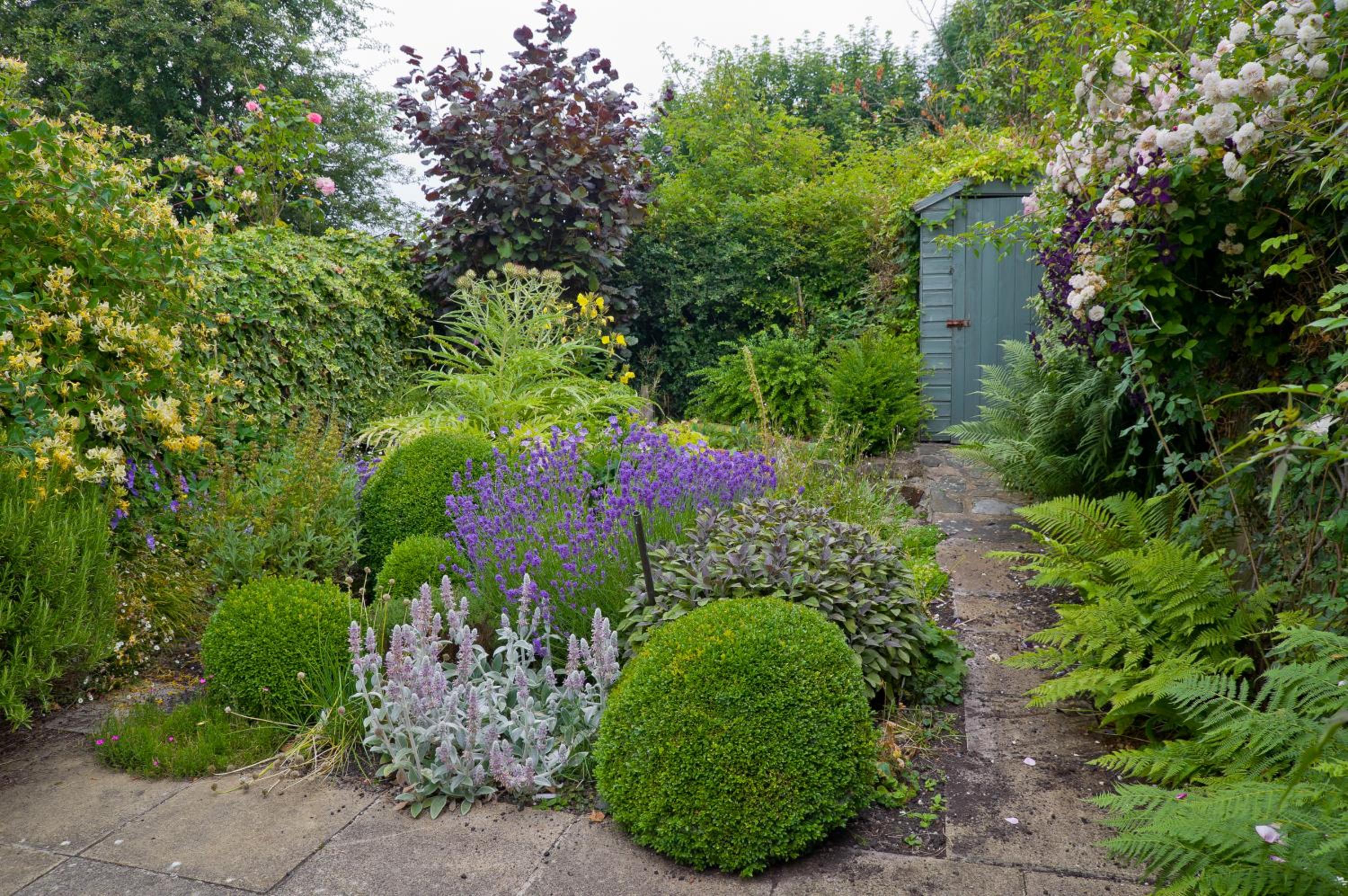 Photo 22