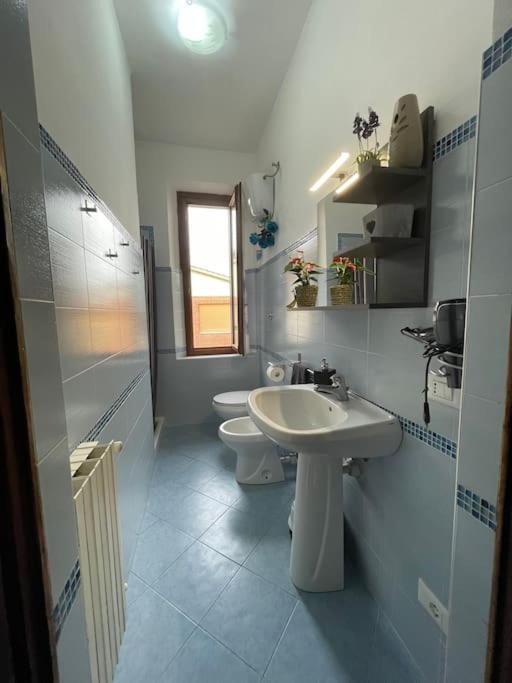 La Casa di Alex - Alex's House photo 5