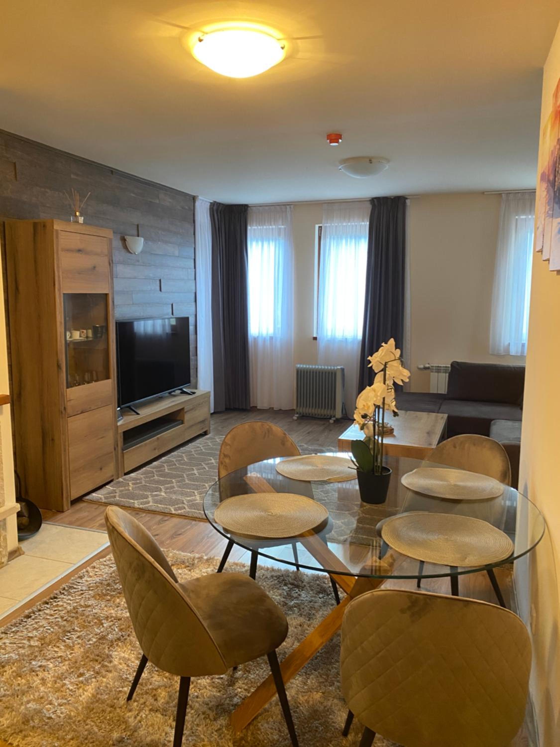Pamporovo mountain apartment