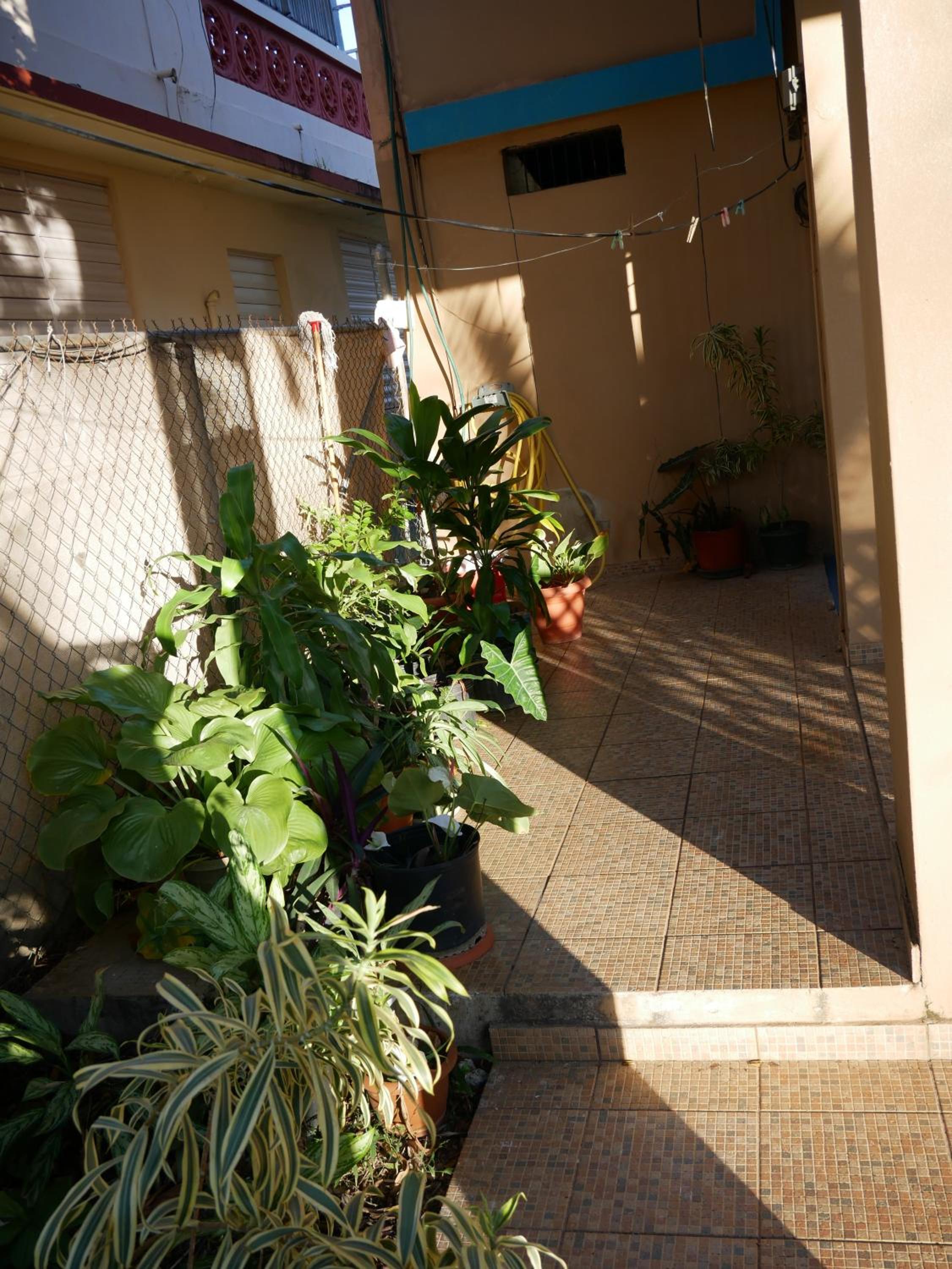 Photo 36