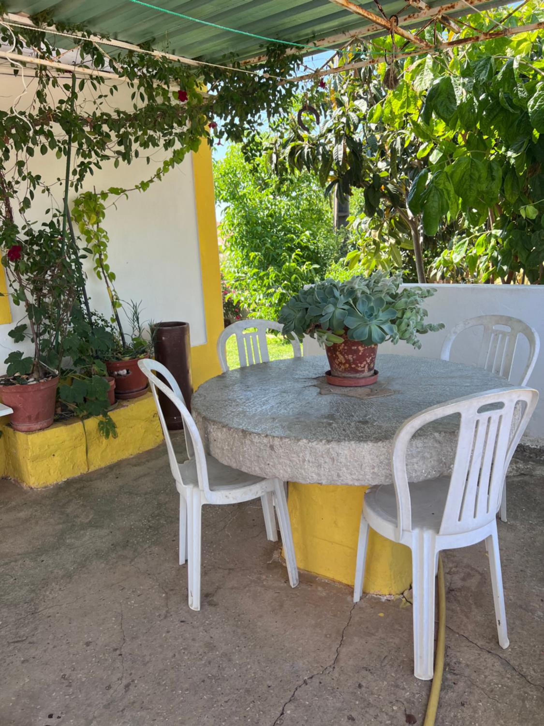 Casa da avó Delmira view 5