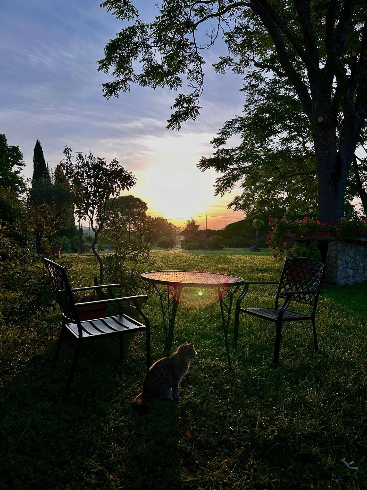 Agriturismo Podere Luchiano view 3