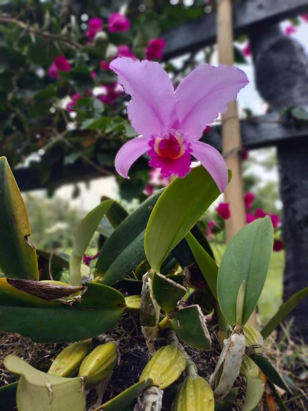 Finca San Jerónimo