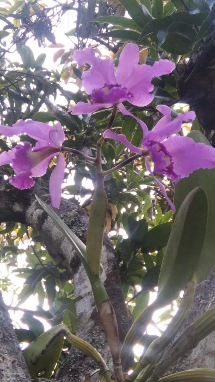 Finca San Jerónimo