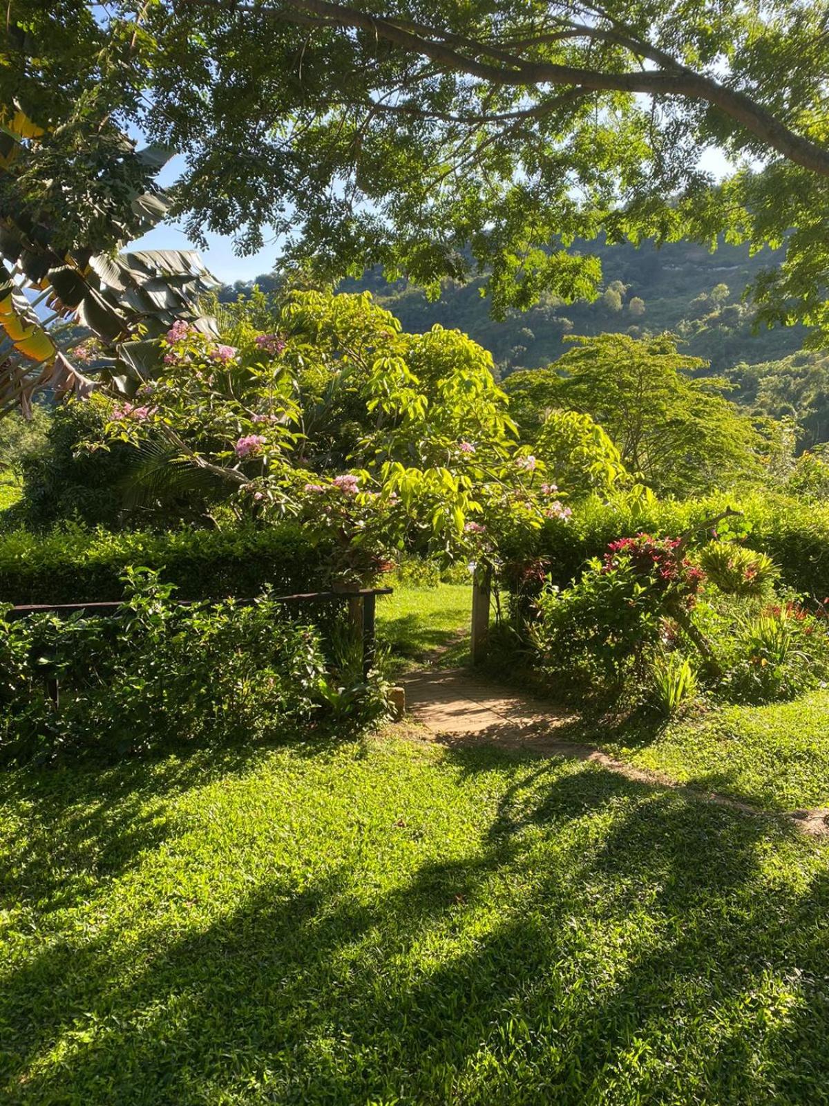 Finca San Jerónimo
