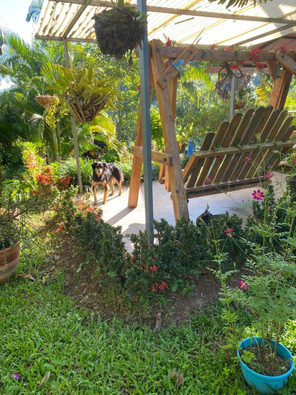 Finca San Jerónimo