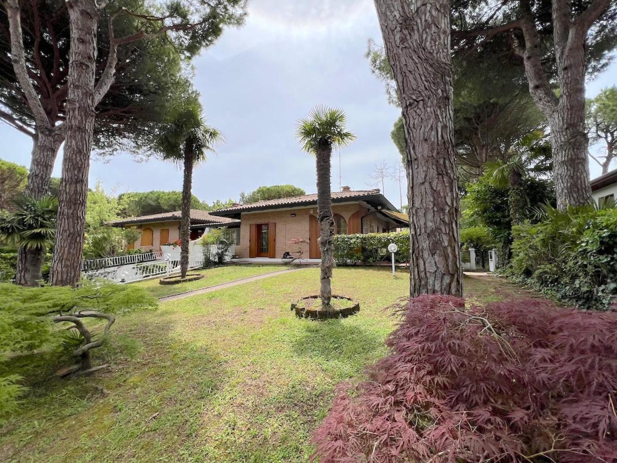 Villa Palm