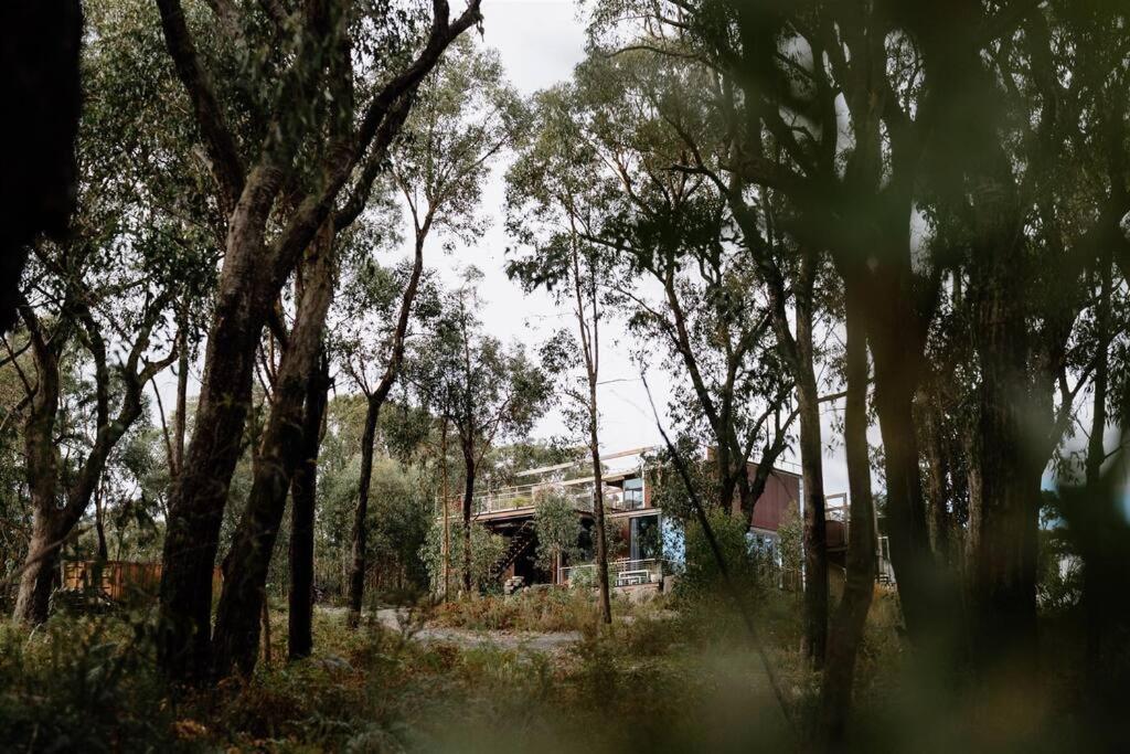 Grand Designs Eco Bush Retreat