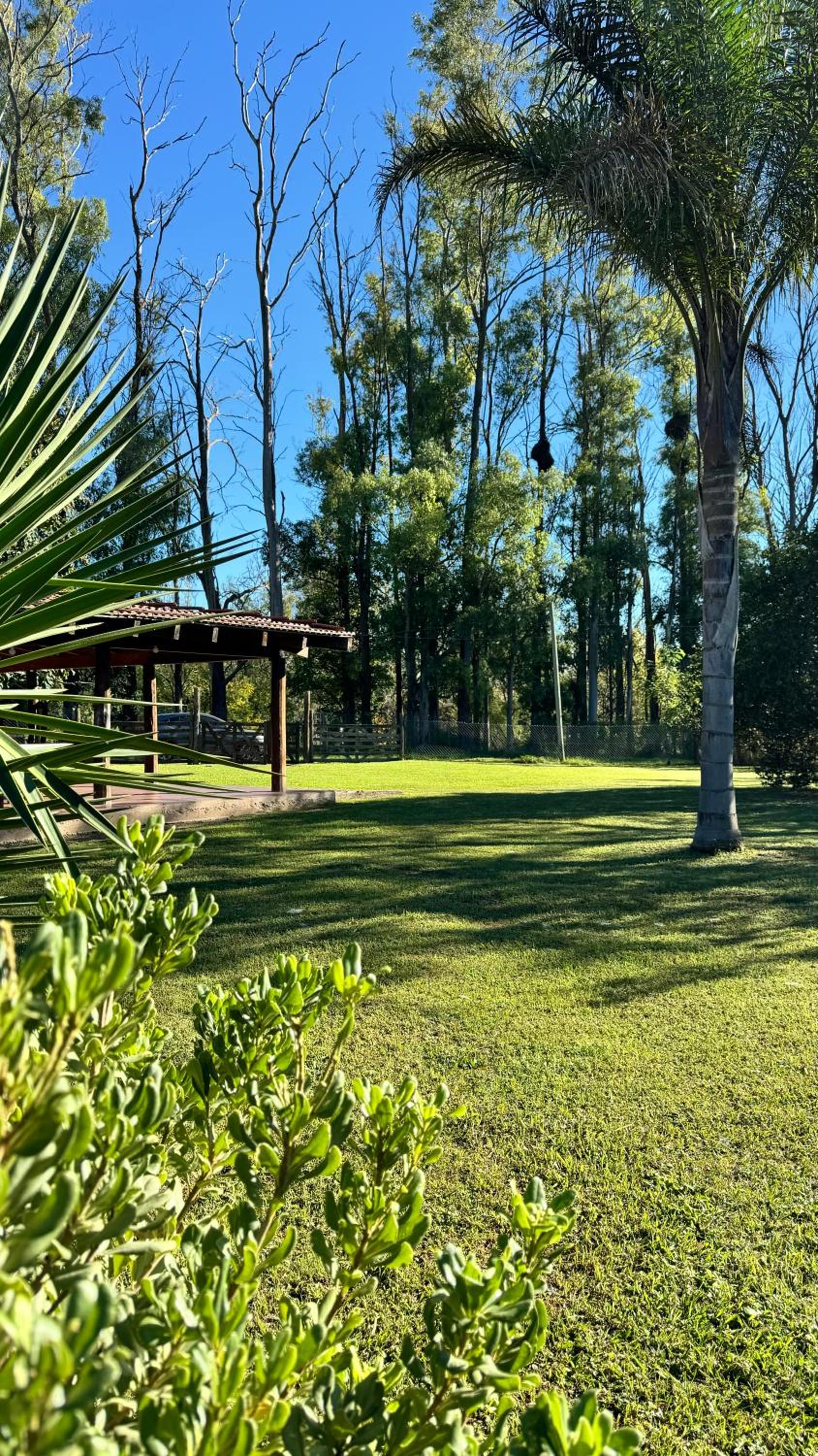 RIBERAS DEL RÍO