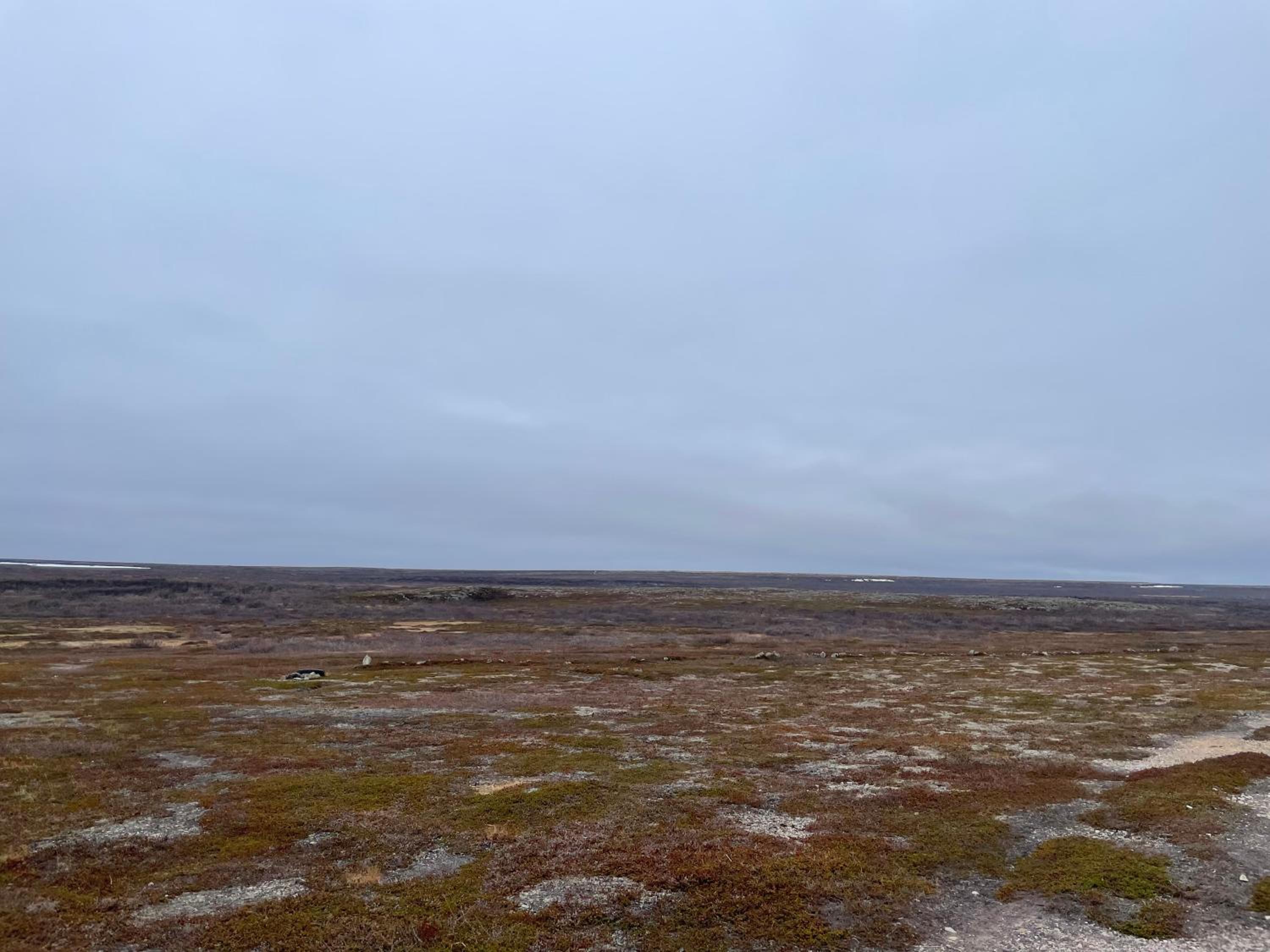 Feriehus i Salttjern