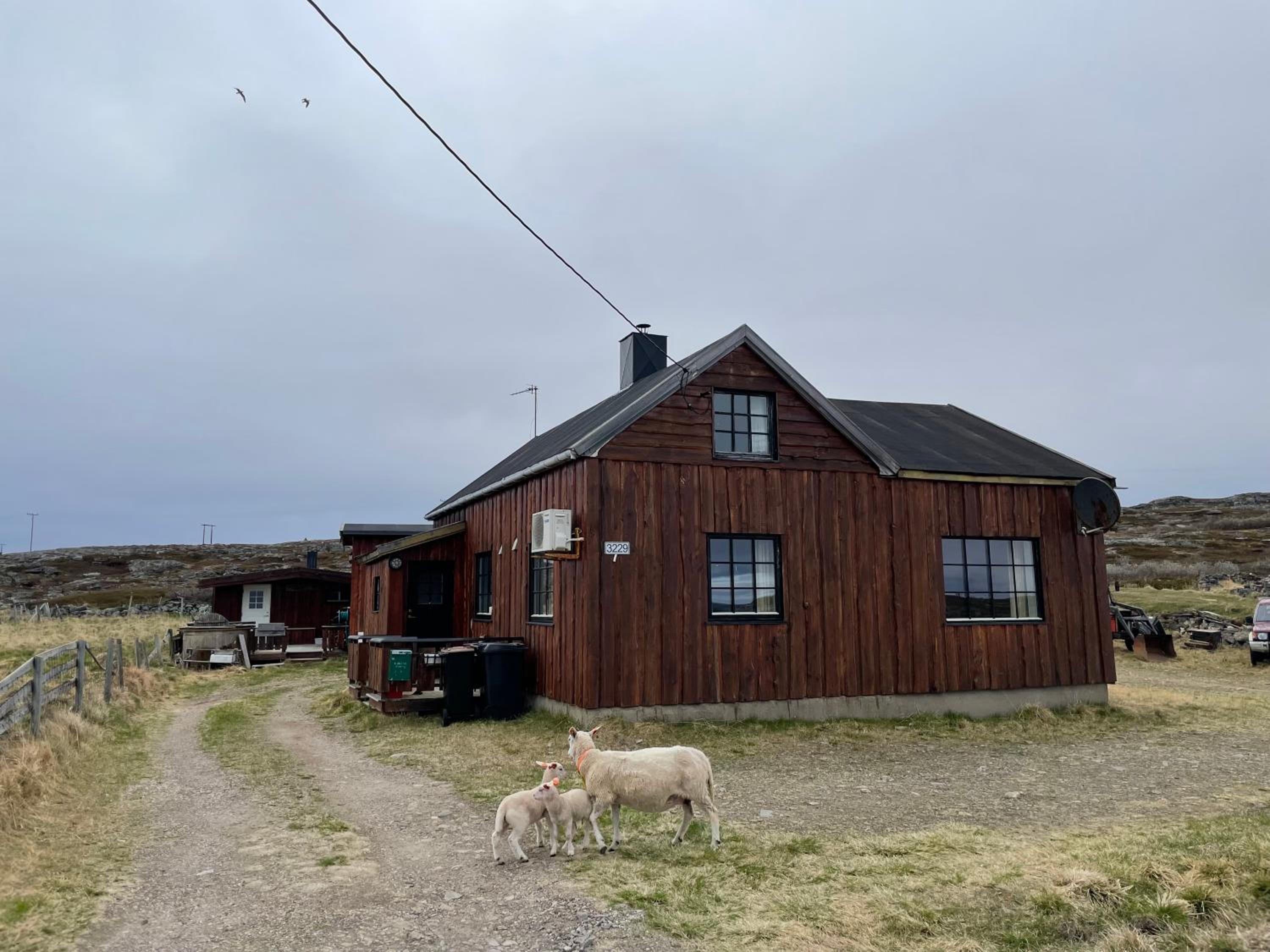 Feriehus i Salttjern