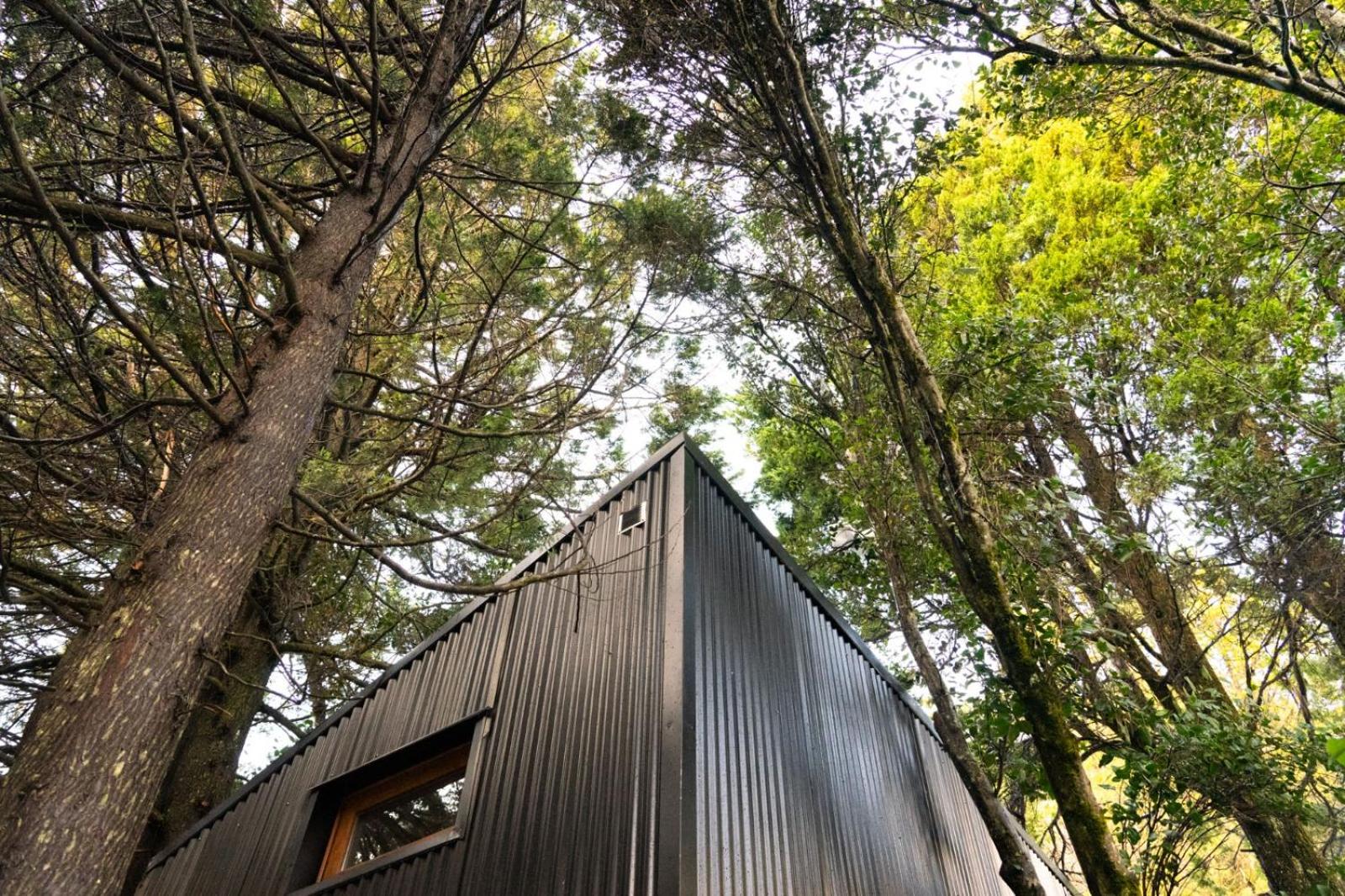 Casa en el Bosque Home Office