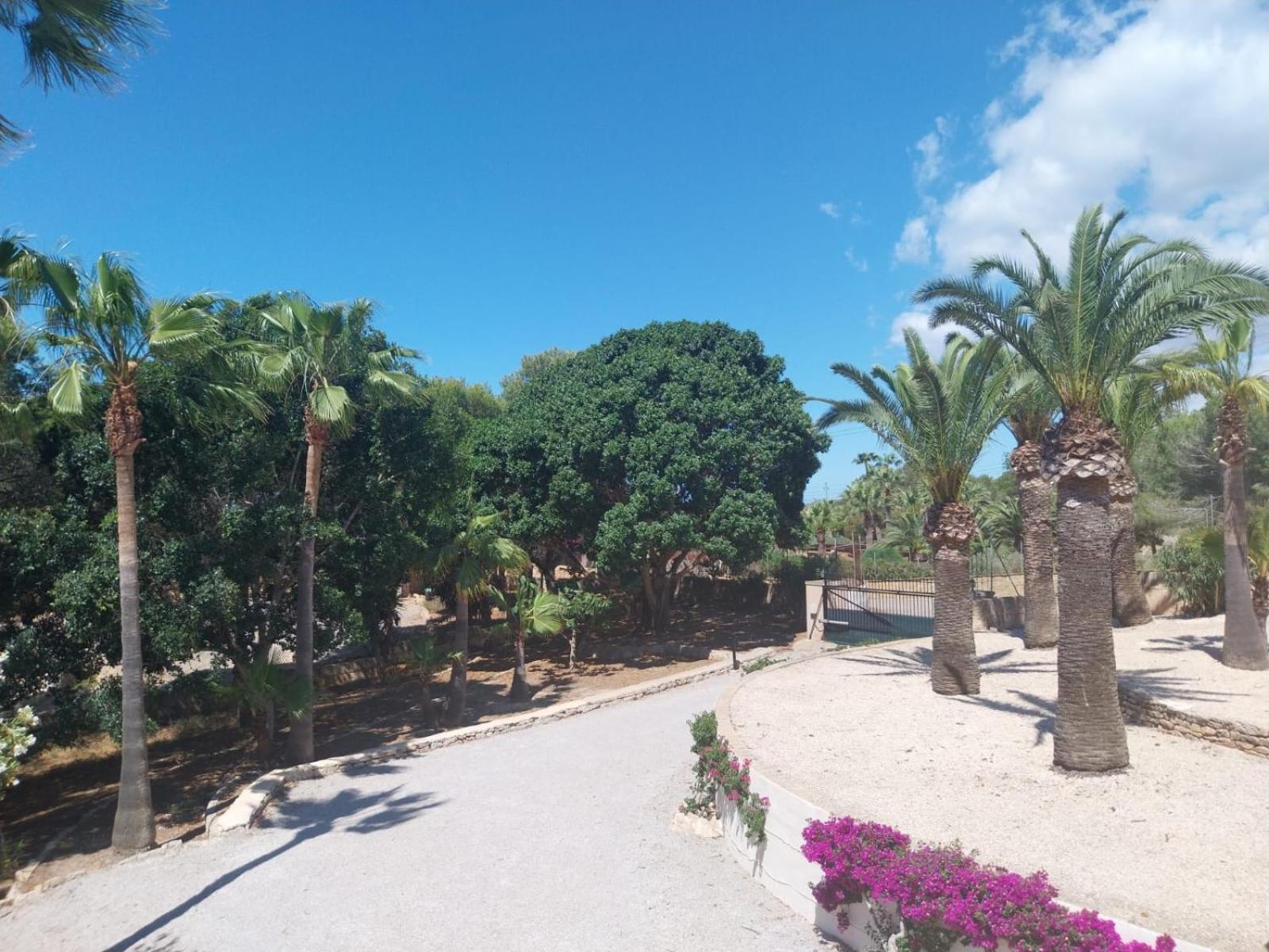 Chalet exclusivo Colonia Sant Jordi. Ses Salines