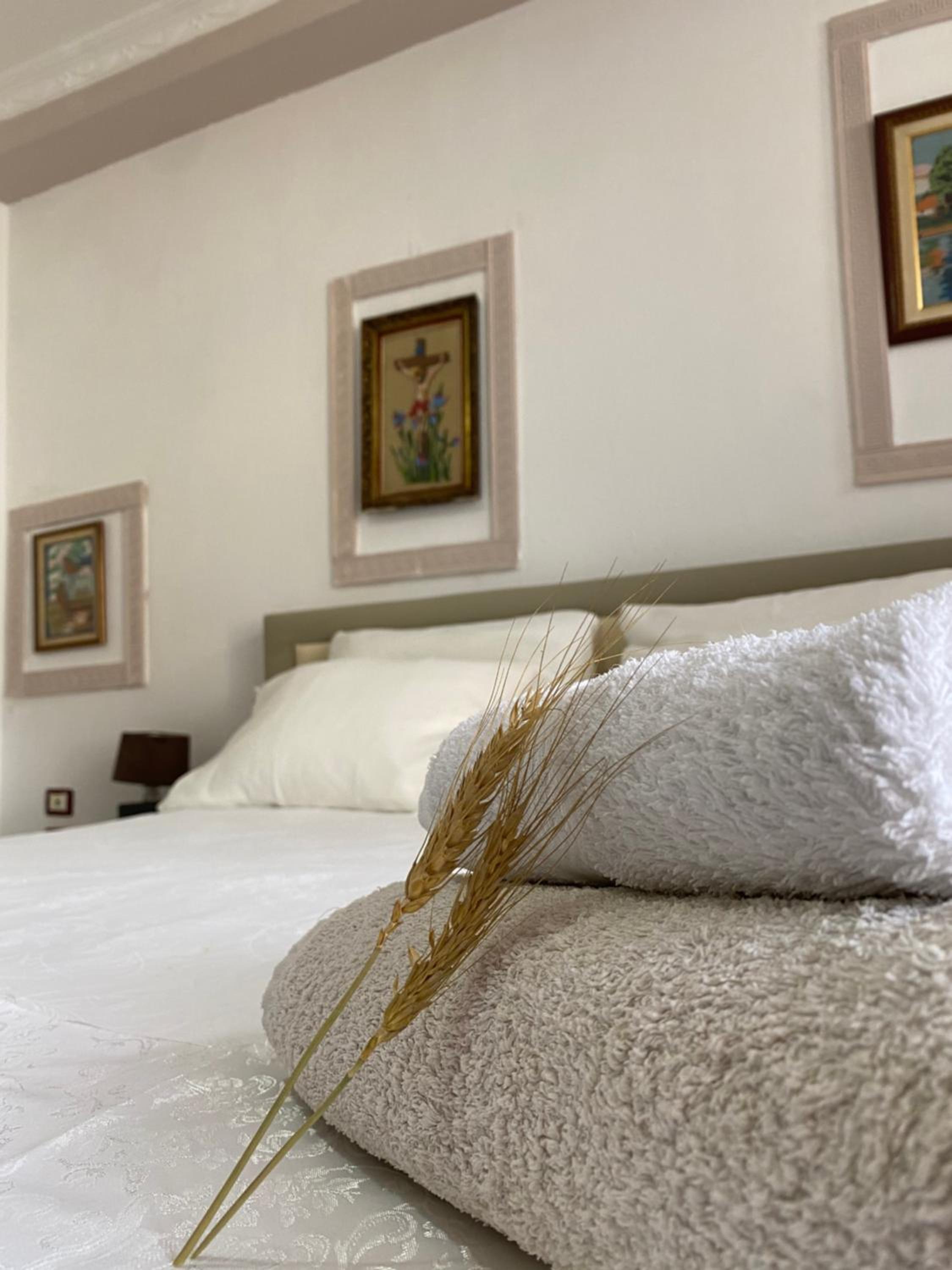 Apartament Karafili
