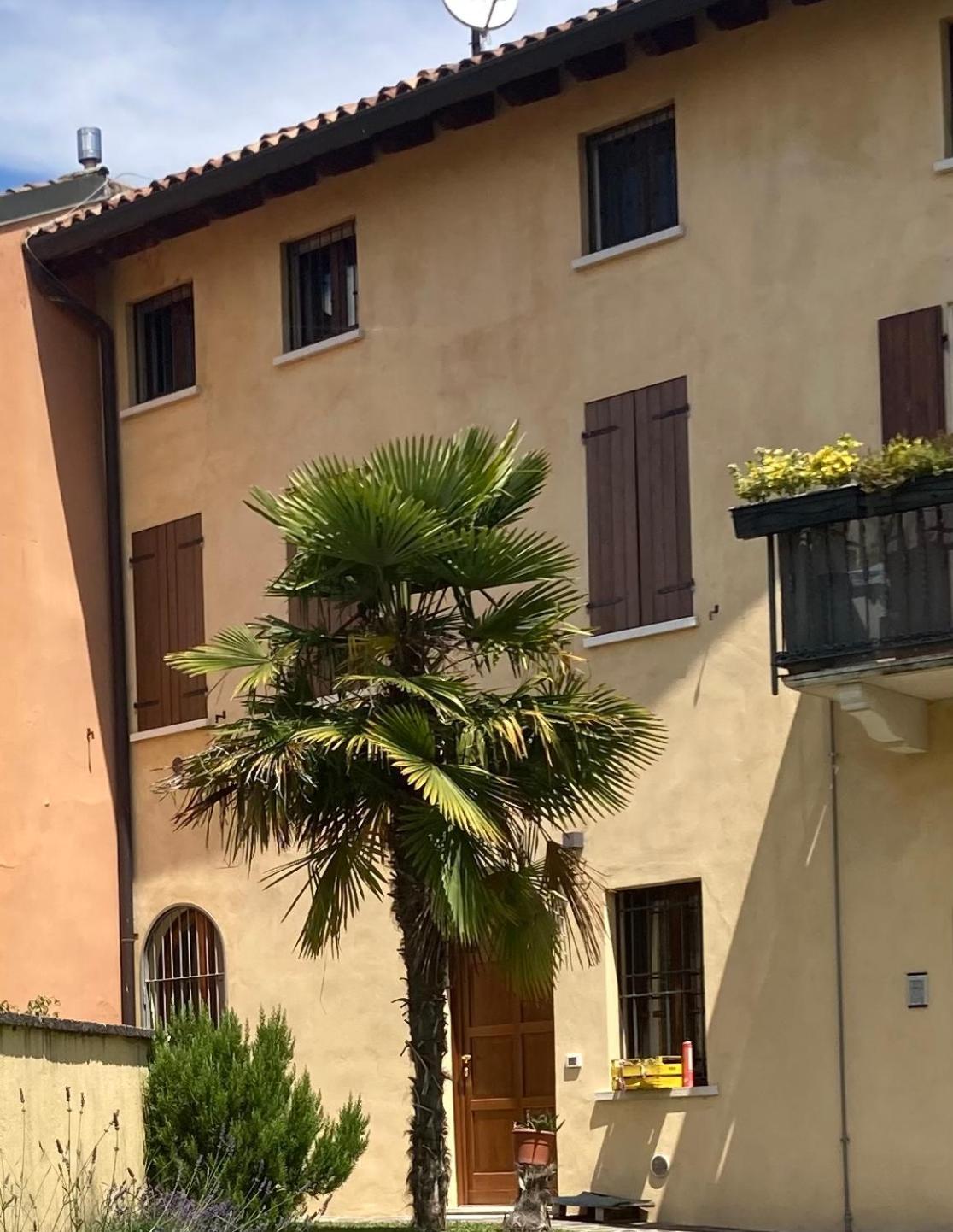Villa nerina view 4