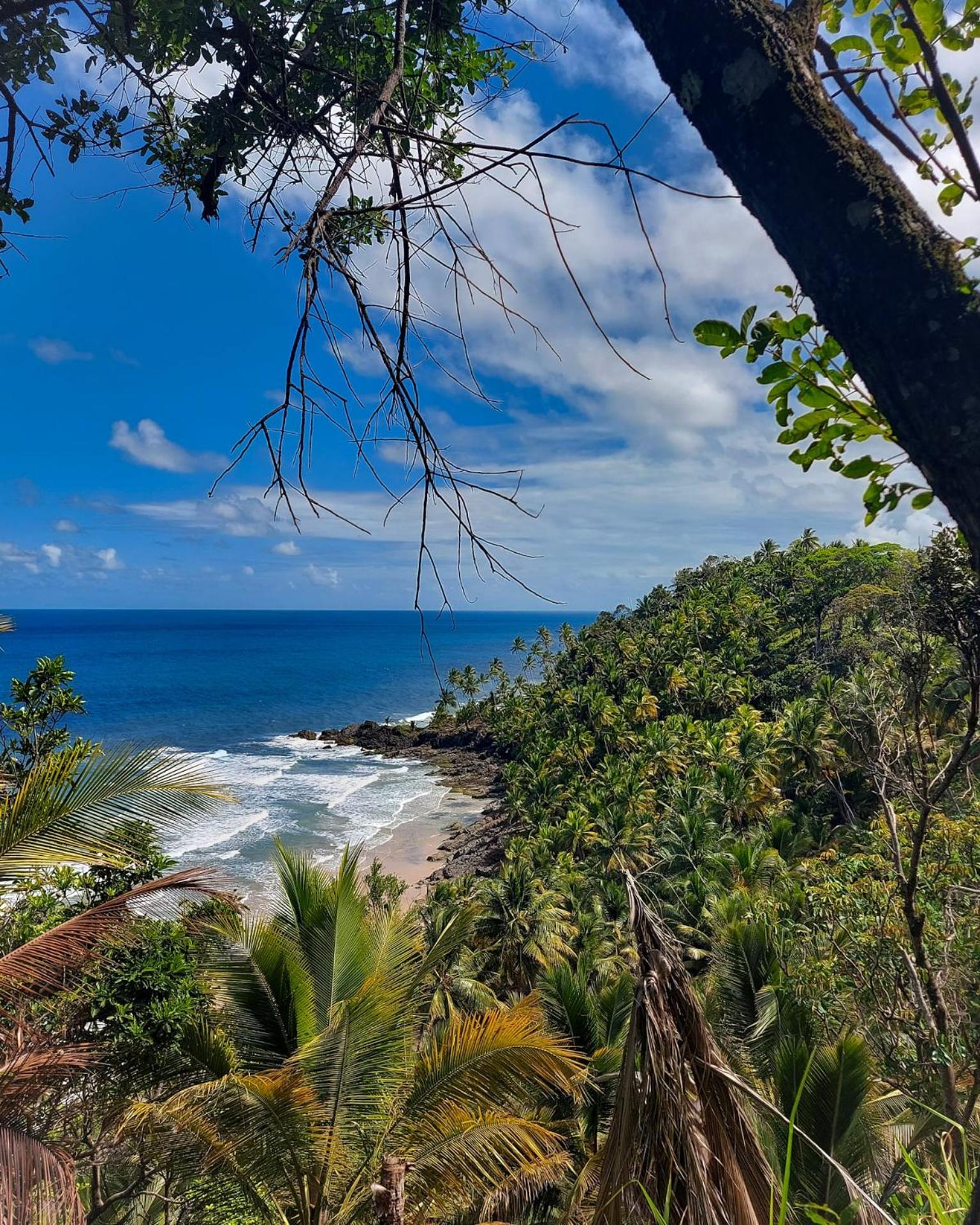 Bangalô Jasmim - Caminho Praia Jeribucaçu