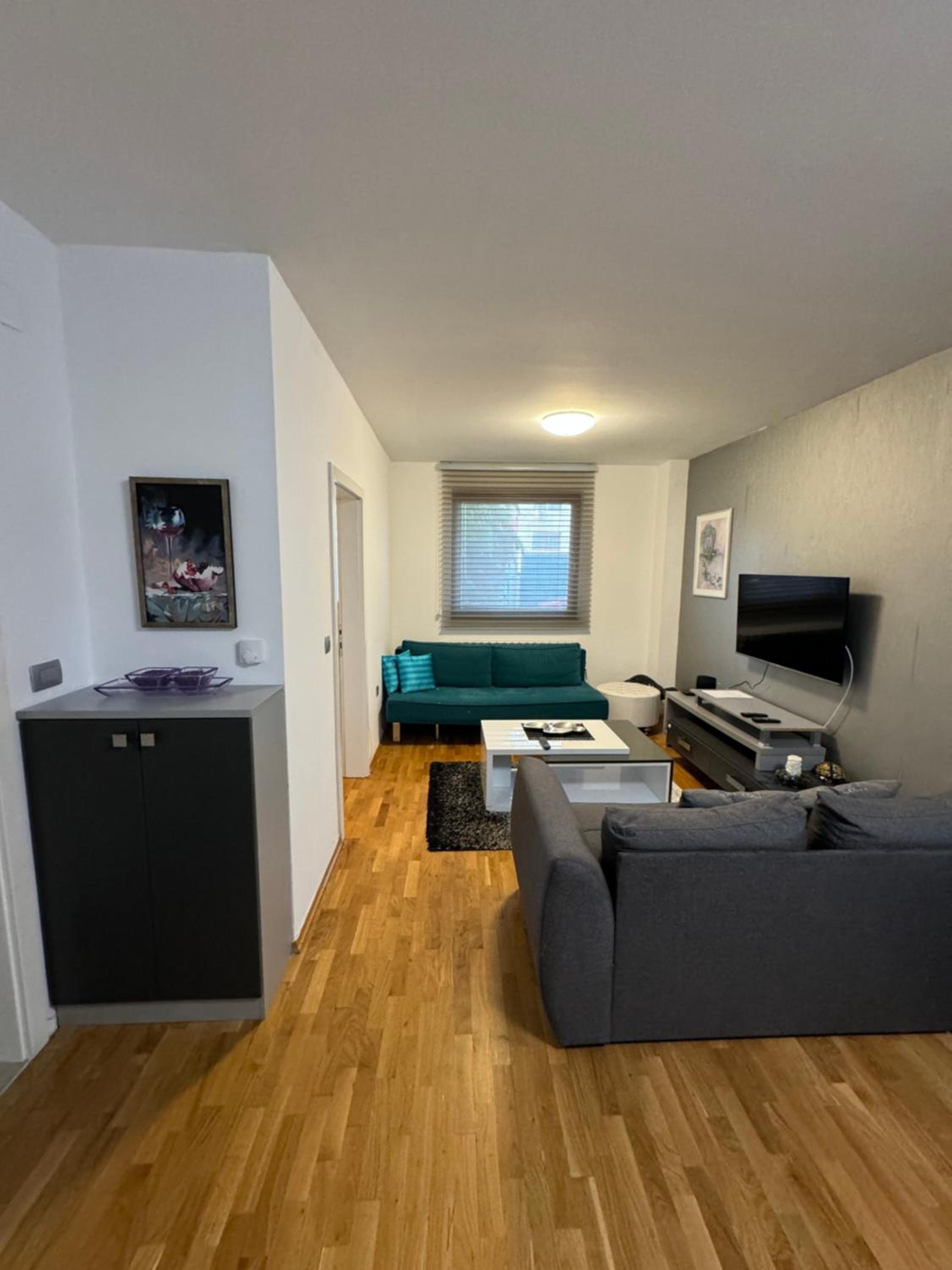 Vodno Hills apartment view 2