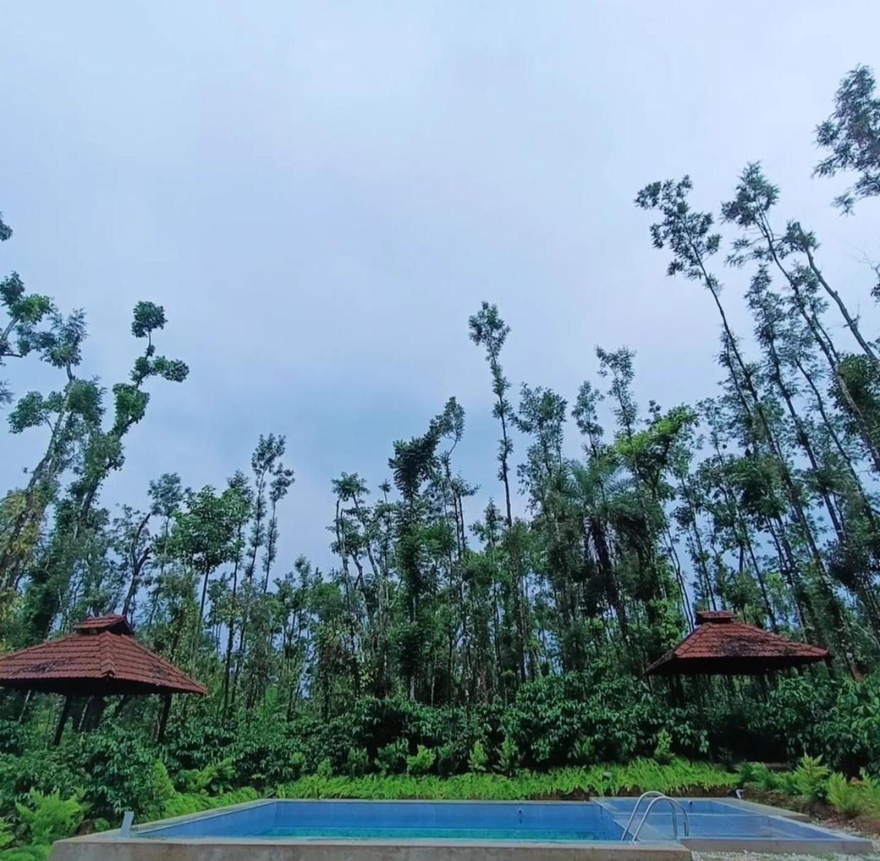 Coffee Breeze Plantation Homestay - Swimming Pool and Simple Rooms