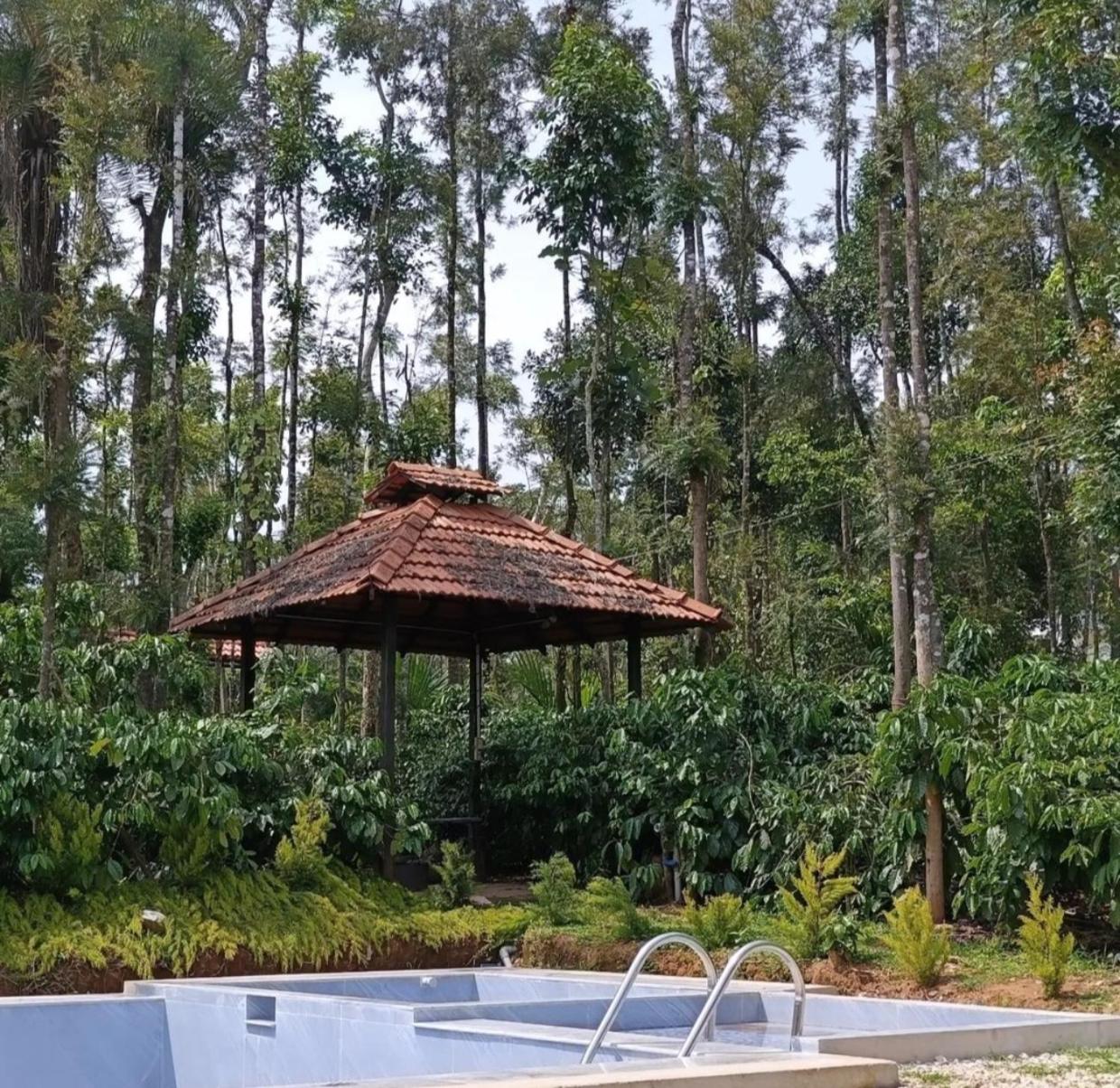 Coffee Breeze Plantation Homestay - Swimming Pool and Simple Rooms