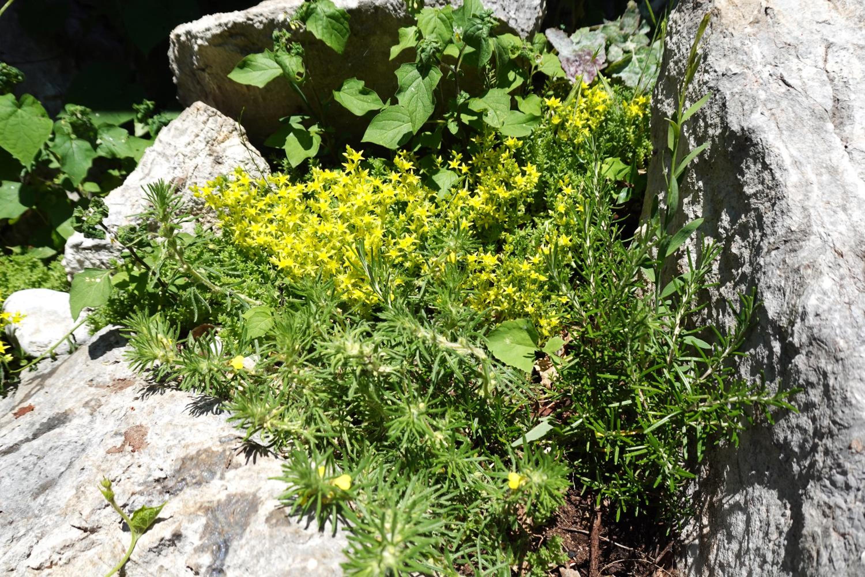 Photo 48