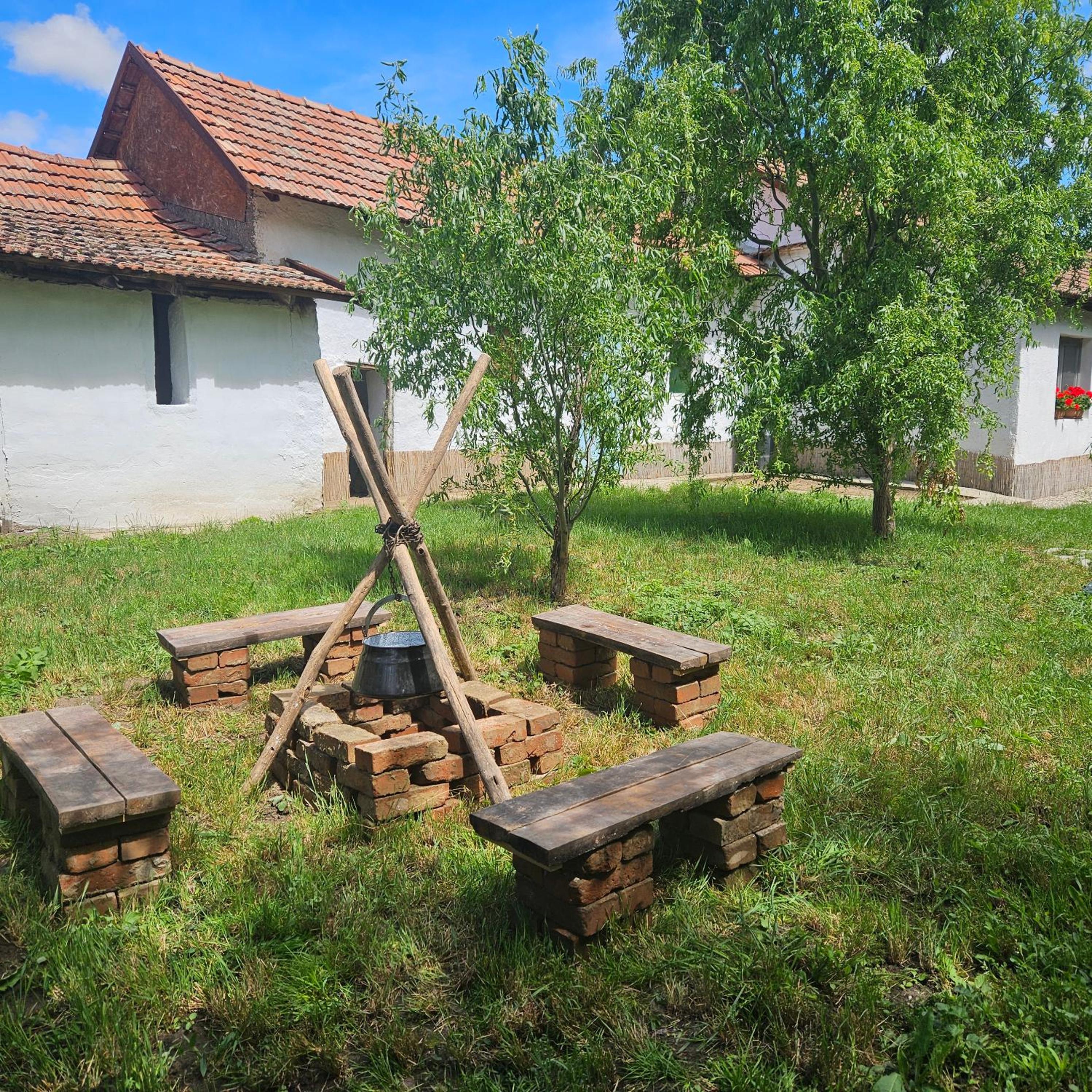 Photo 45