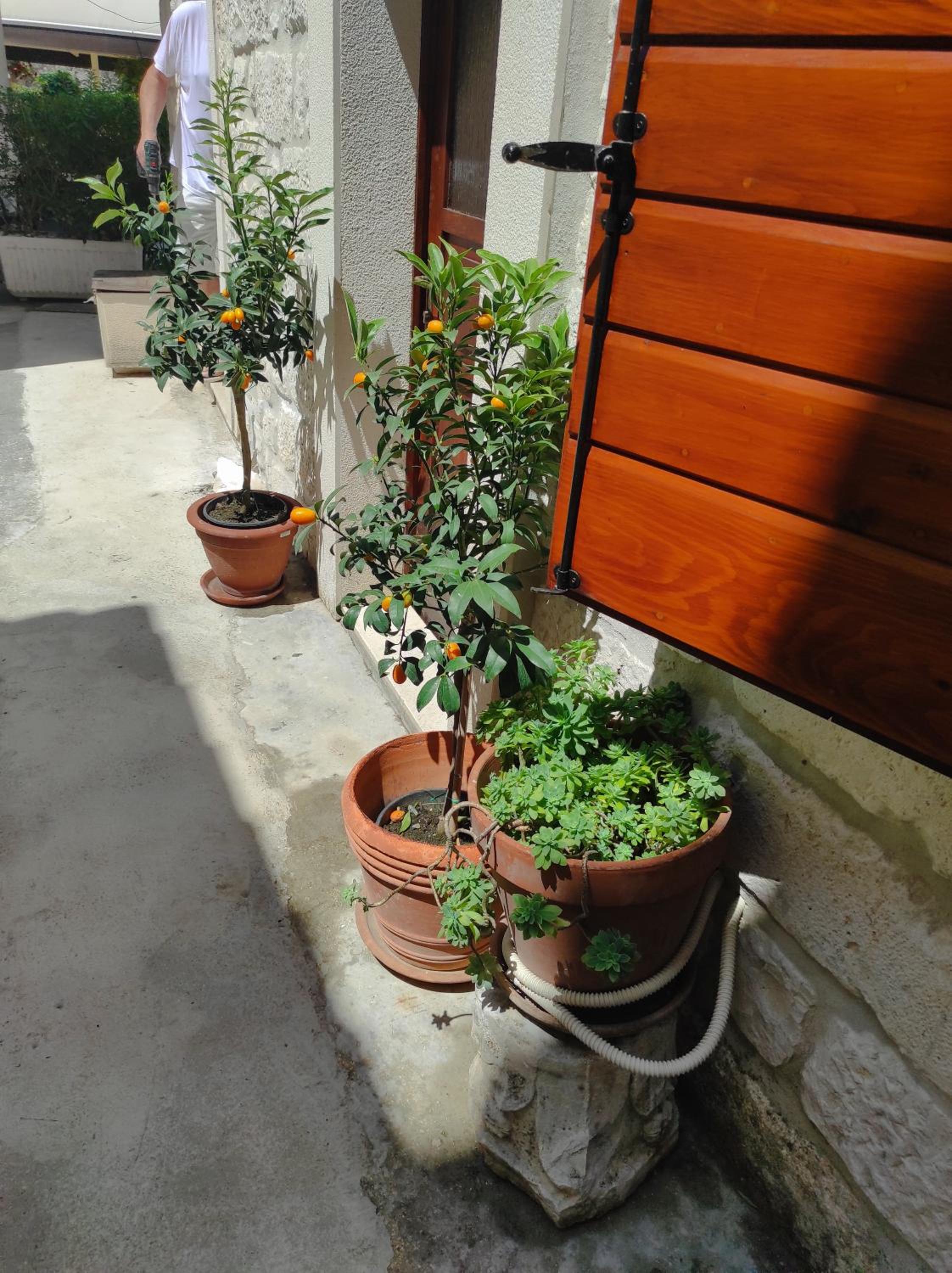 Photo 6