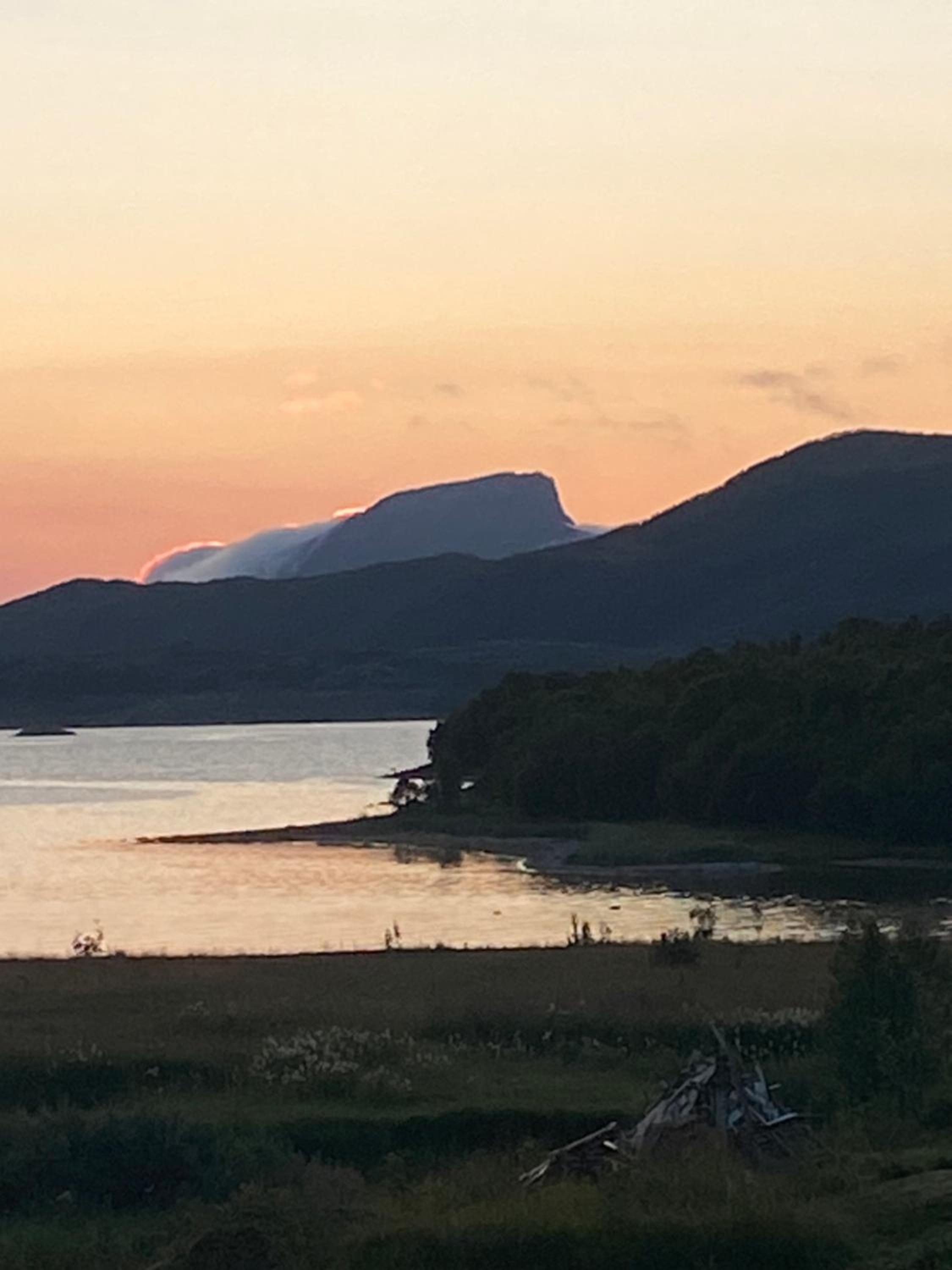 Senja