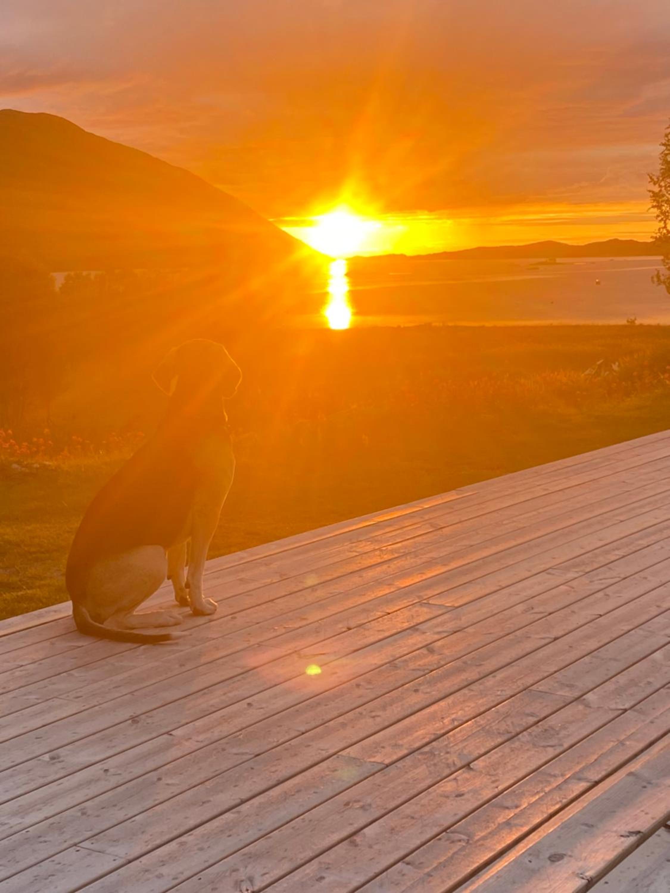 Senja