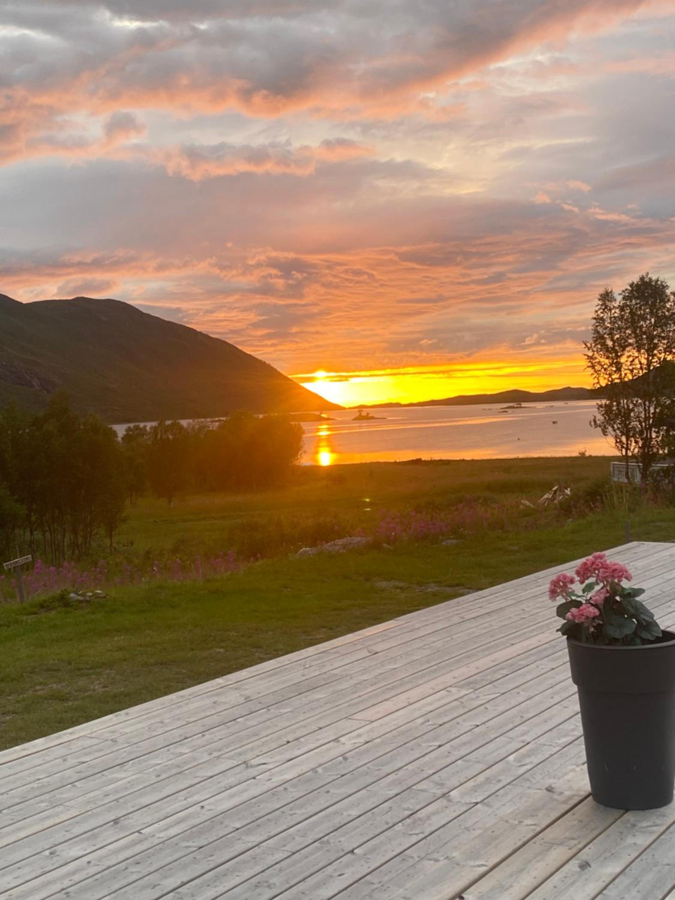 Senja