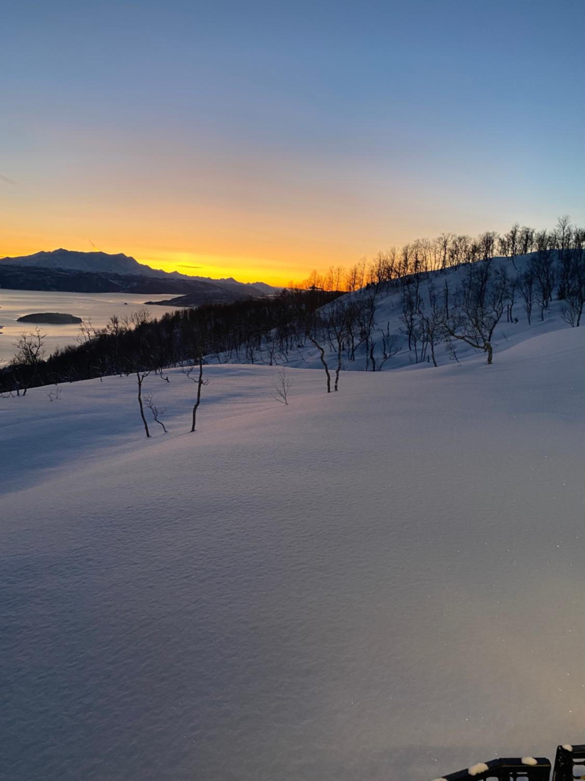 Senja