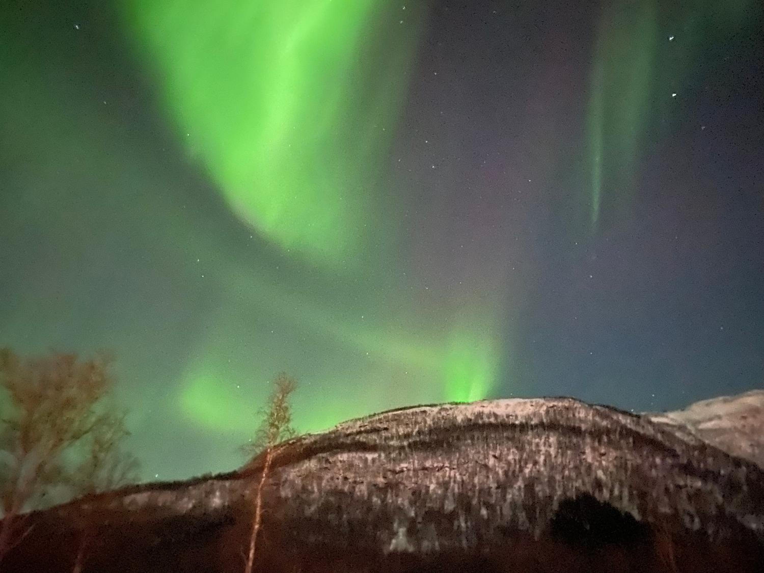 Senja