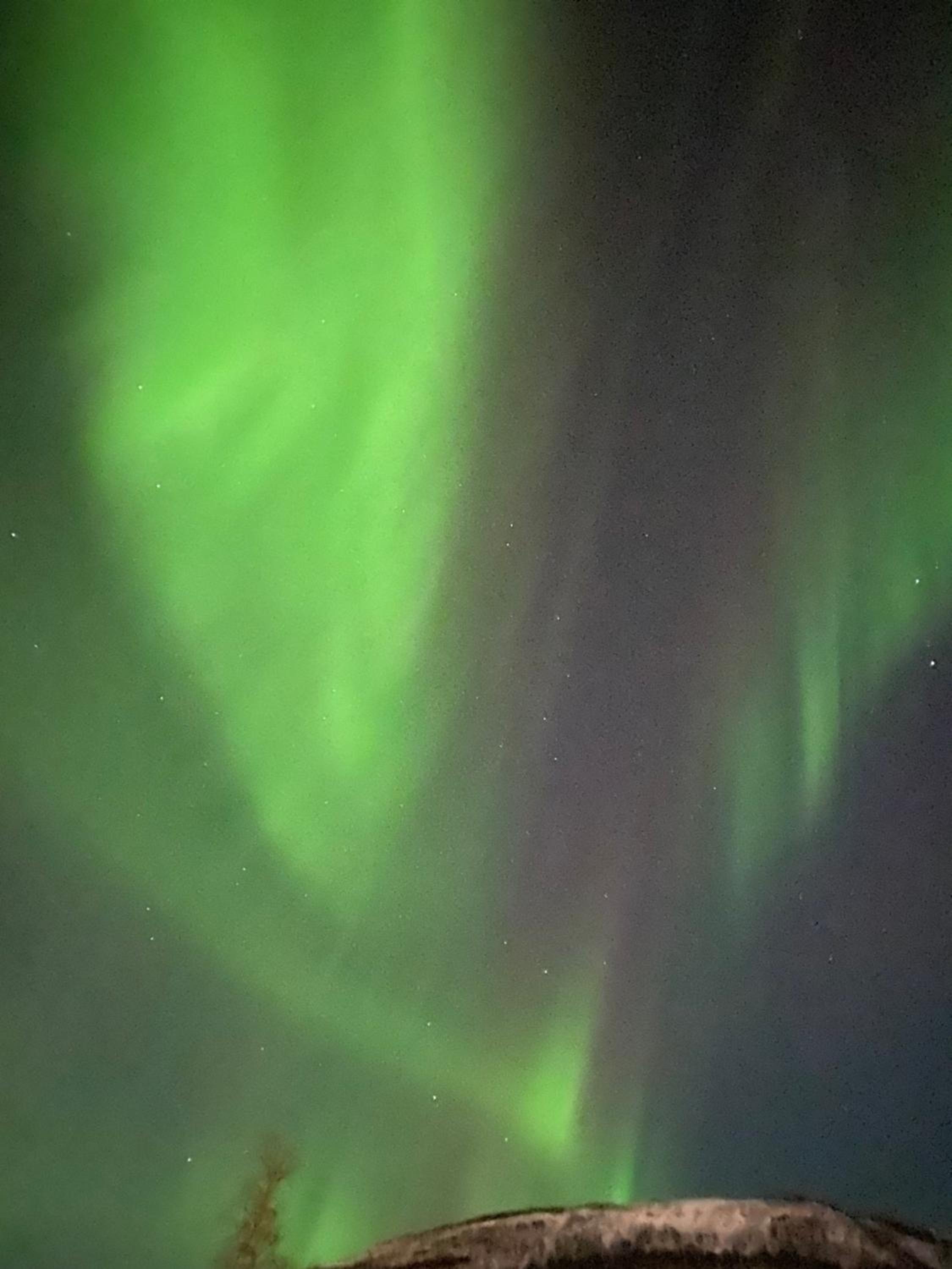 Senja