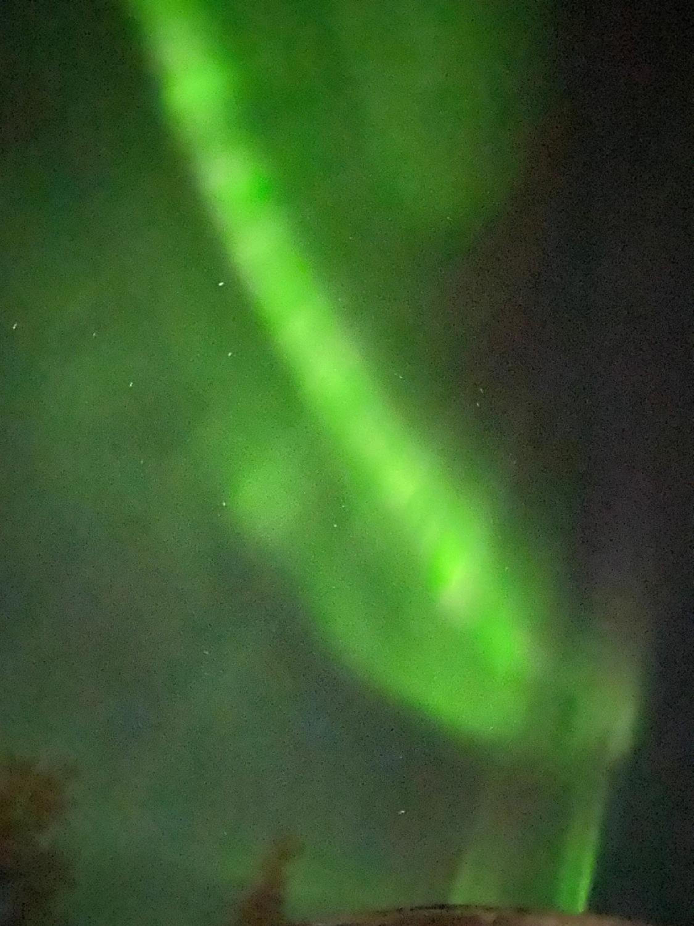 Senja