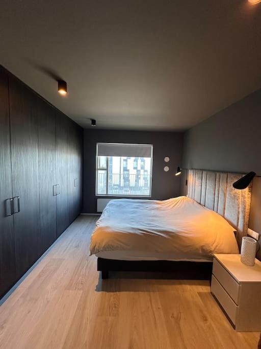 New modern apartment