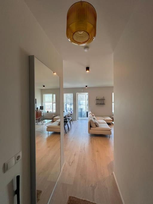 New modern apartment