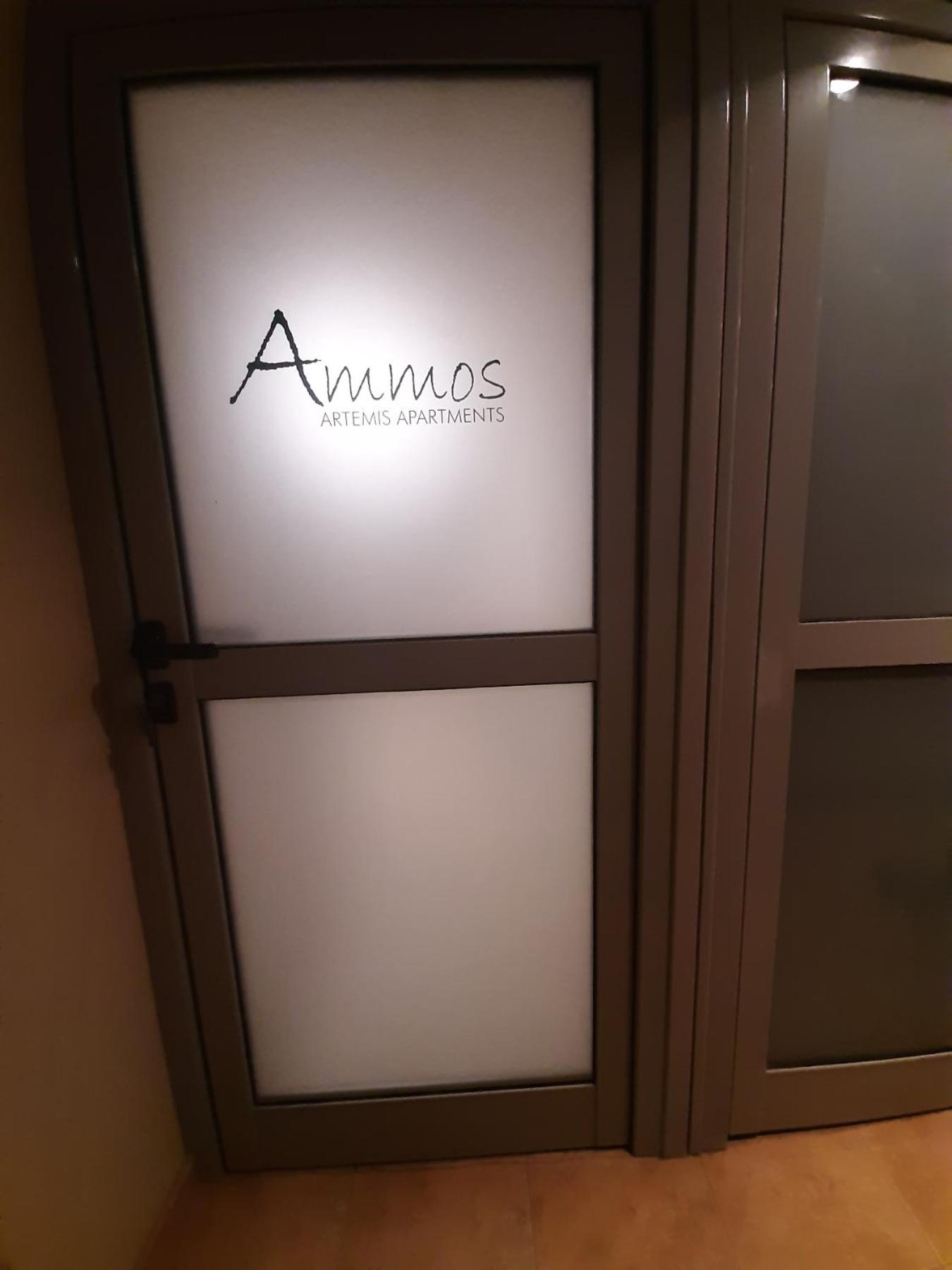 Ammos Artemis Apartments