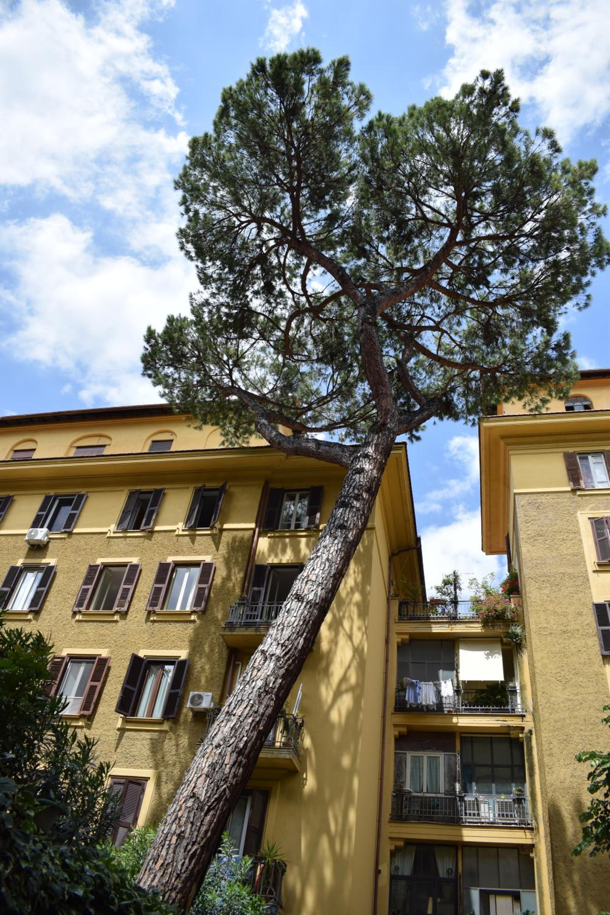 Casa Vacanze Mazzini