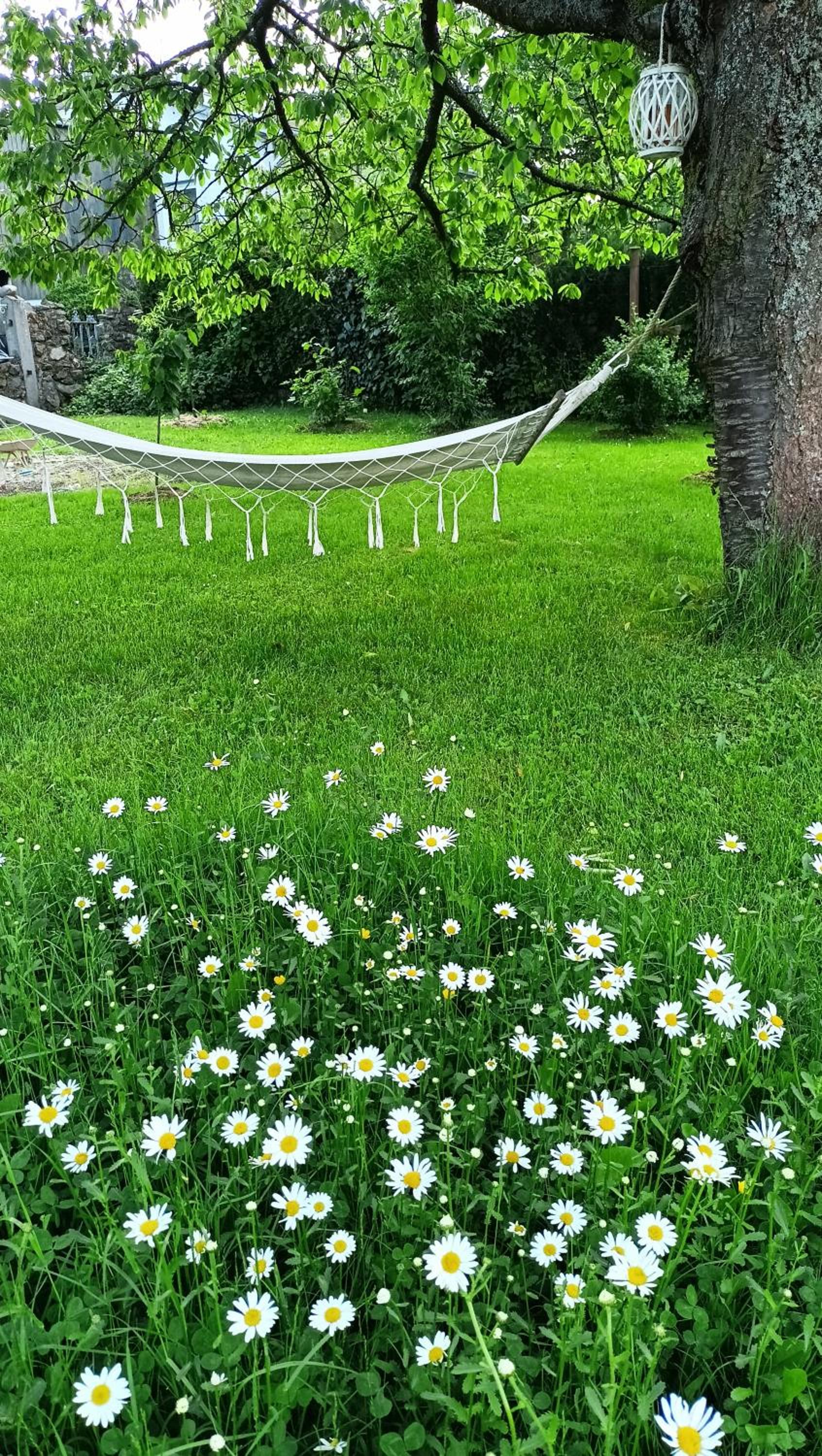 Penzion Villa Marion