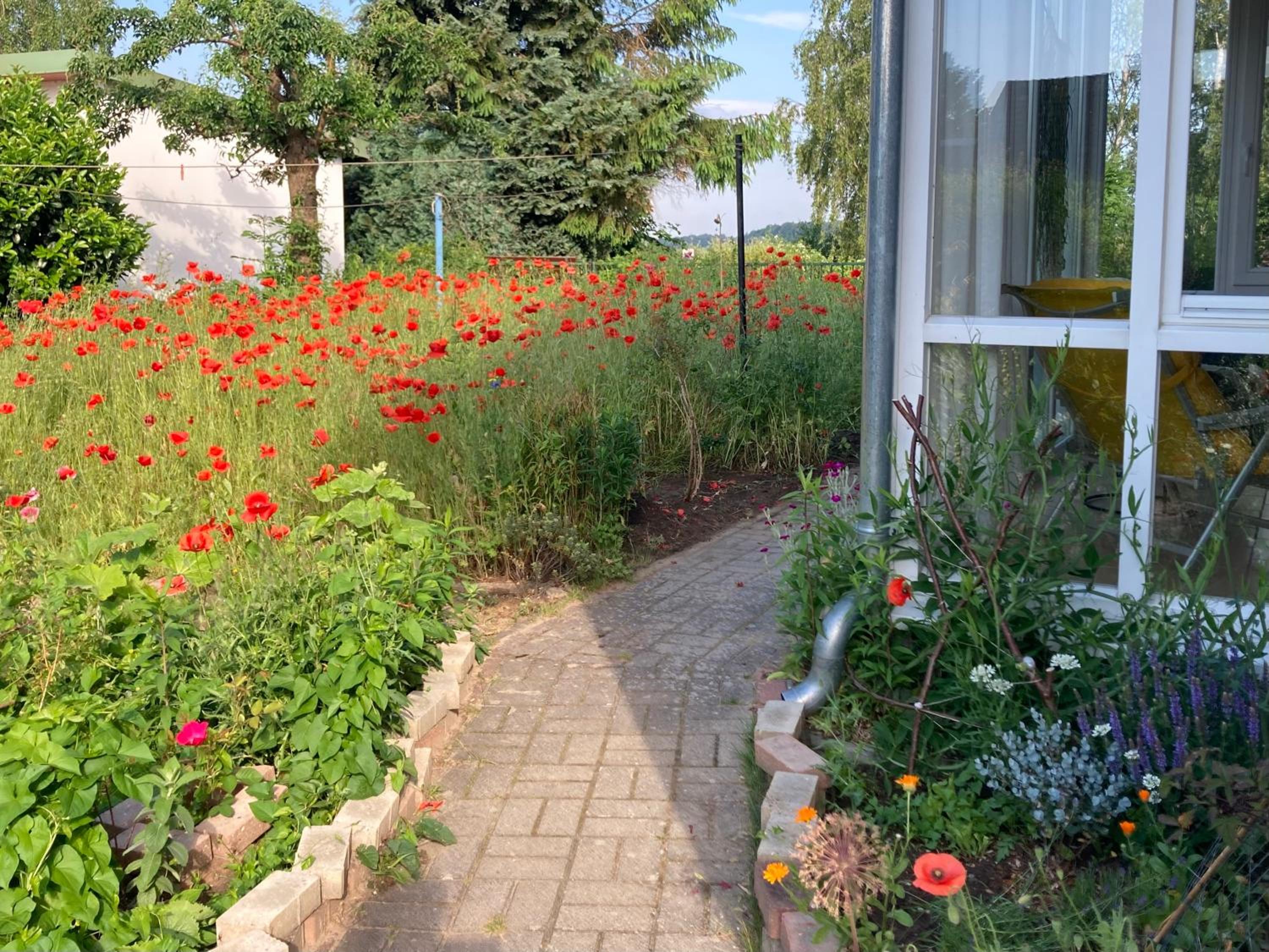 Ferienhaus am Wasser im Grünen